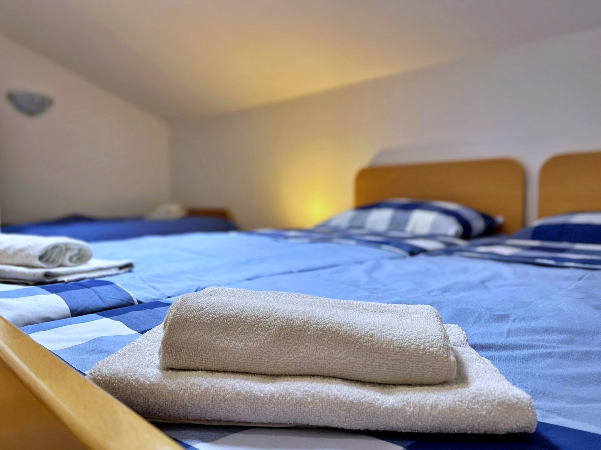 Apartment Neptun-Image-tags.info