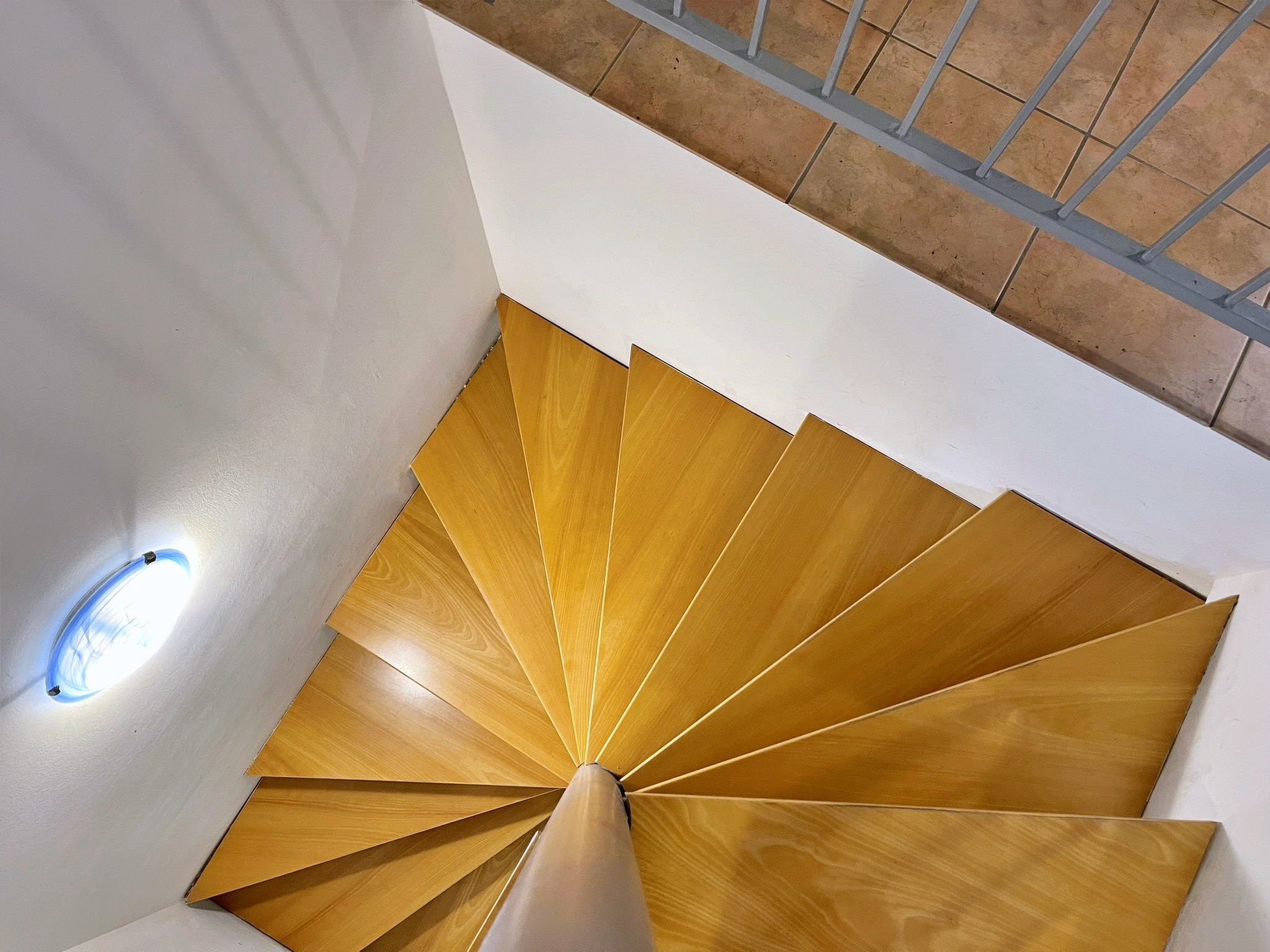 Apartment Neptun-Image-tags.info