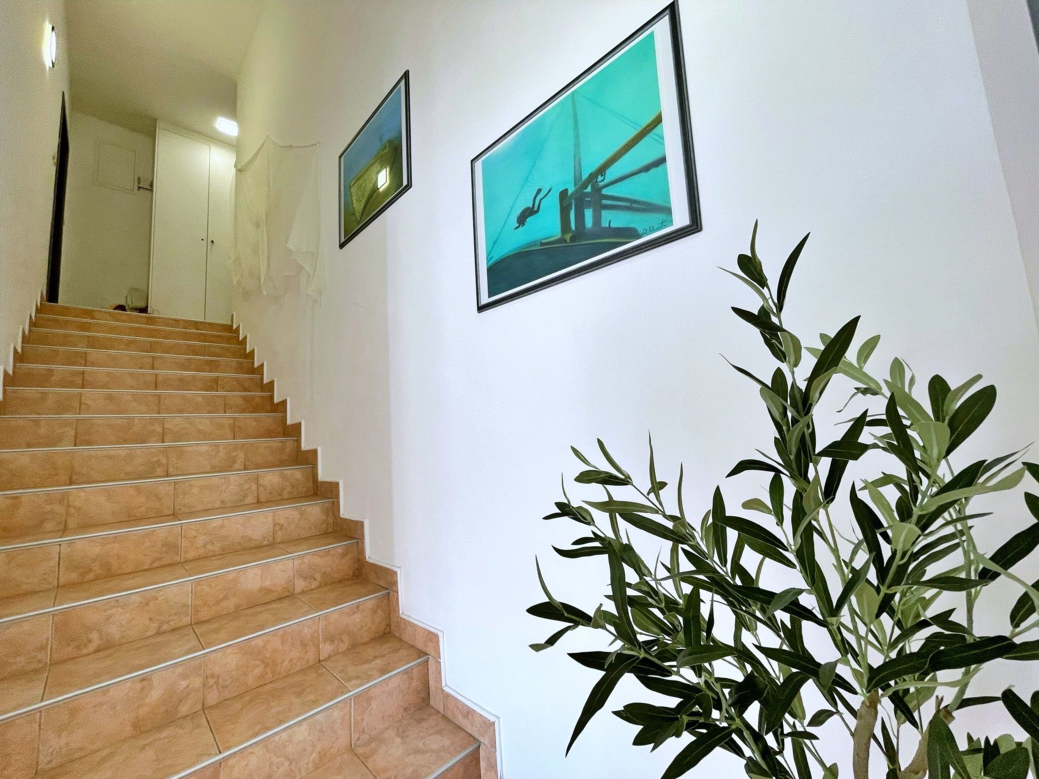 Photo of Apartment Neptun