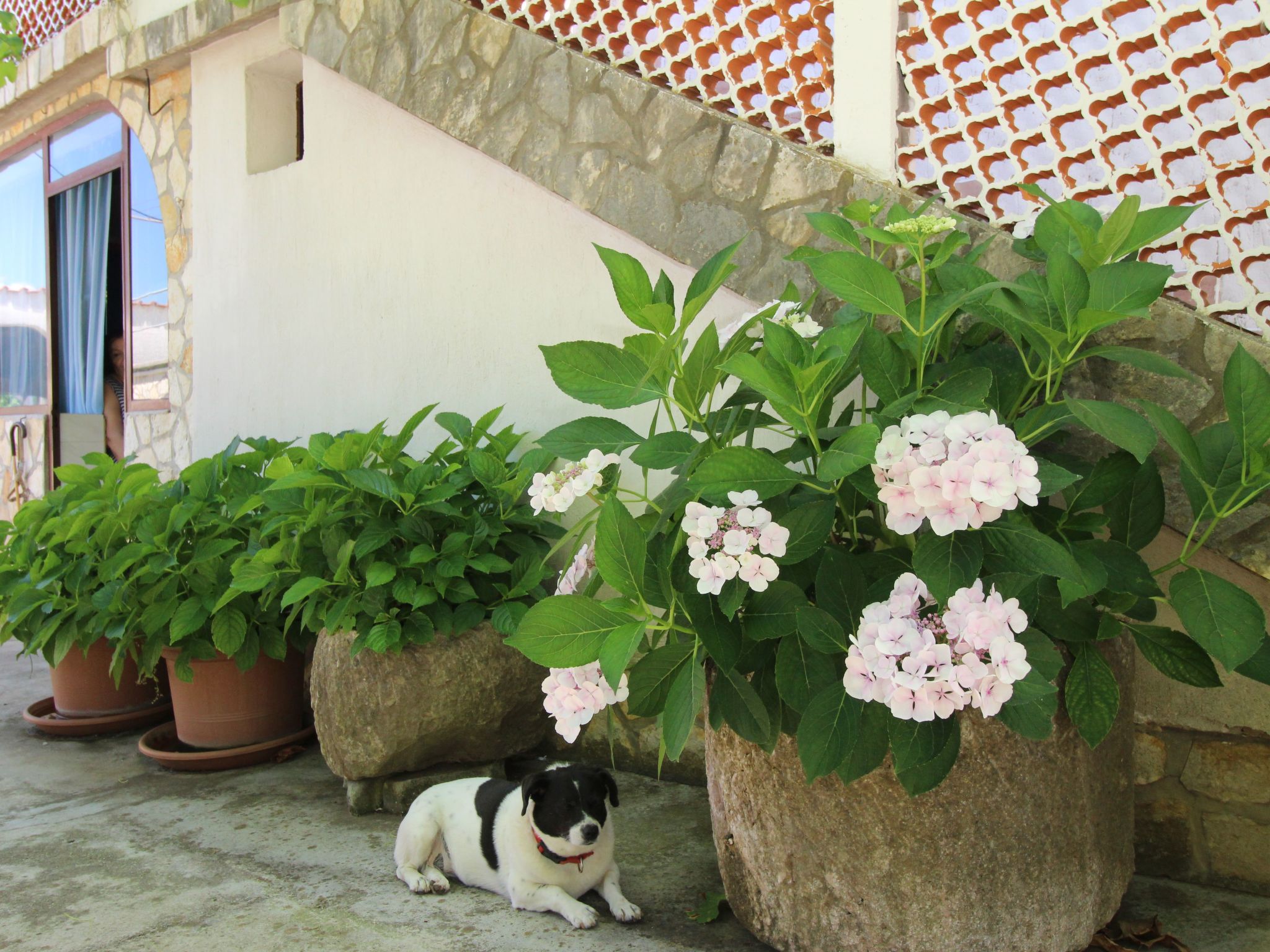 Apartment Andjela-Dedans