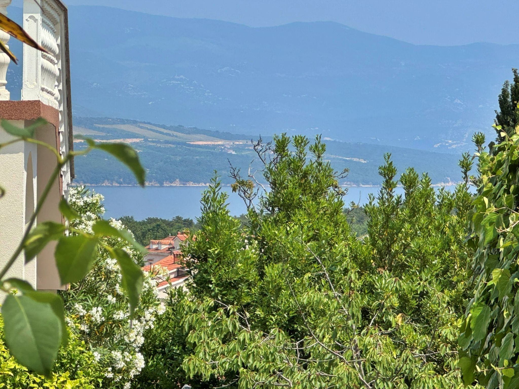 Apartment Zlatica-Binnen