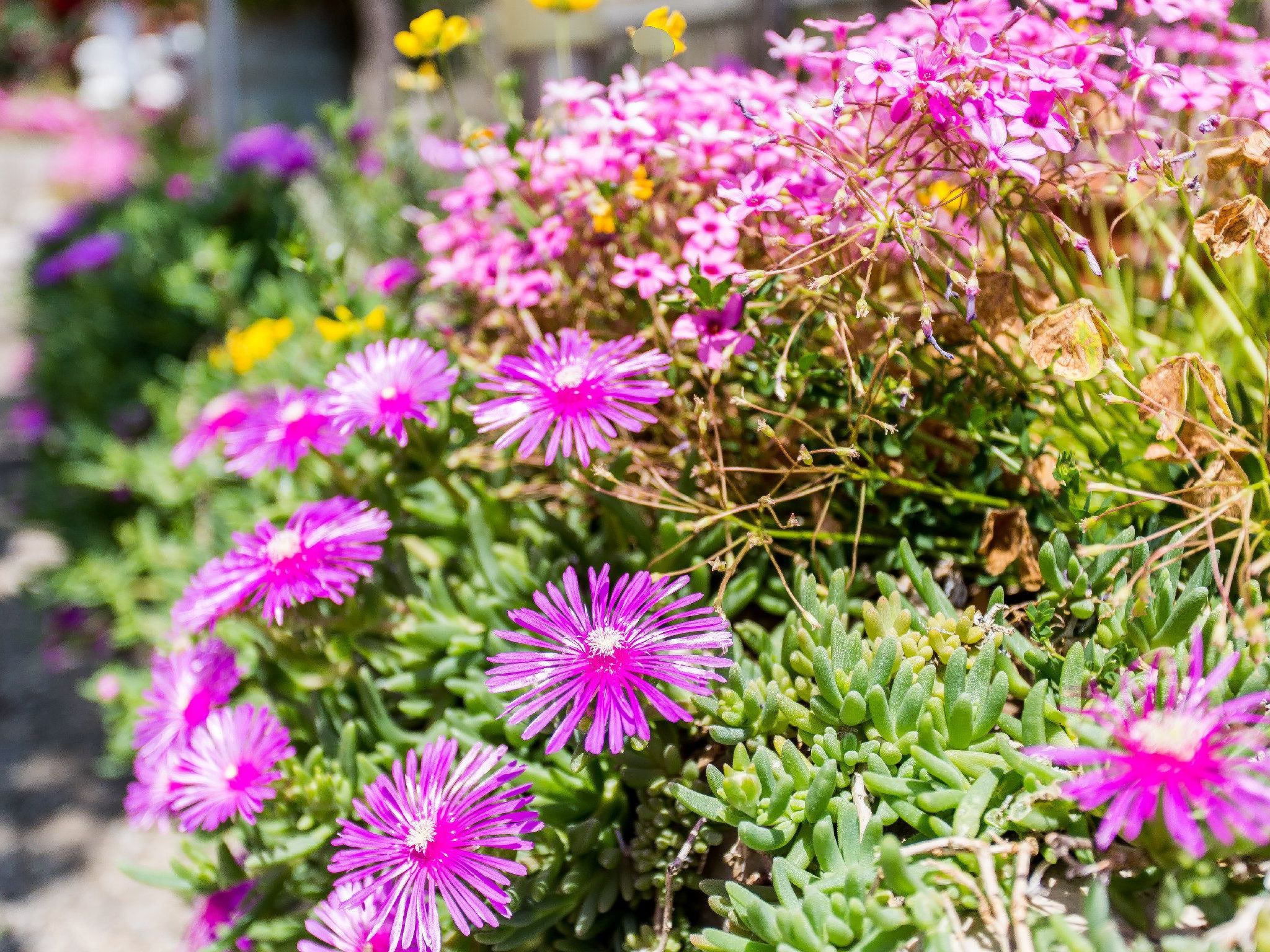 Moderne Wohnung Grzetic-Binnen