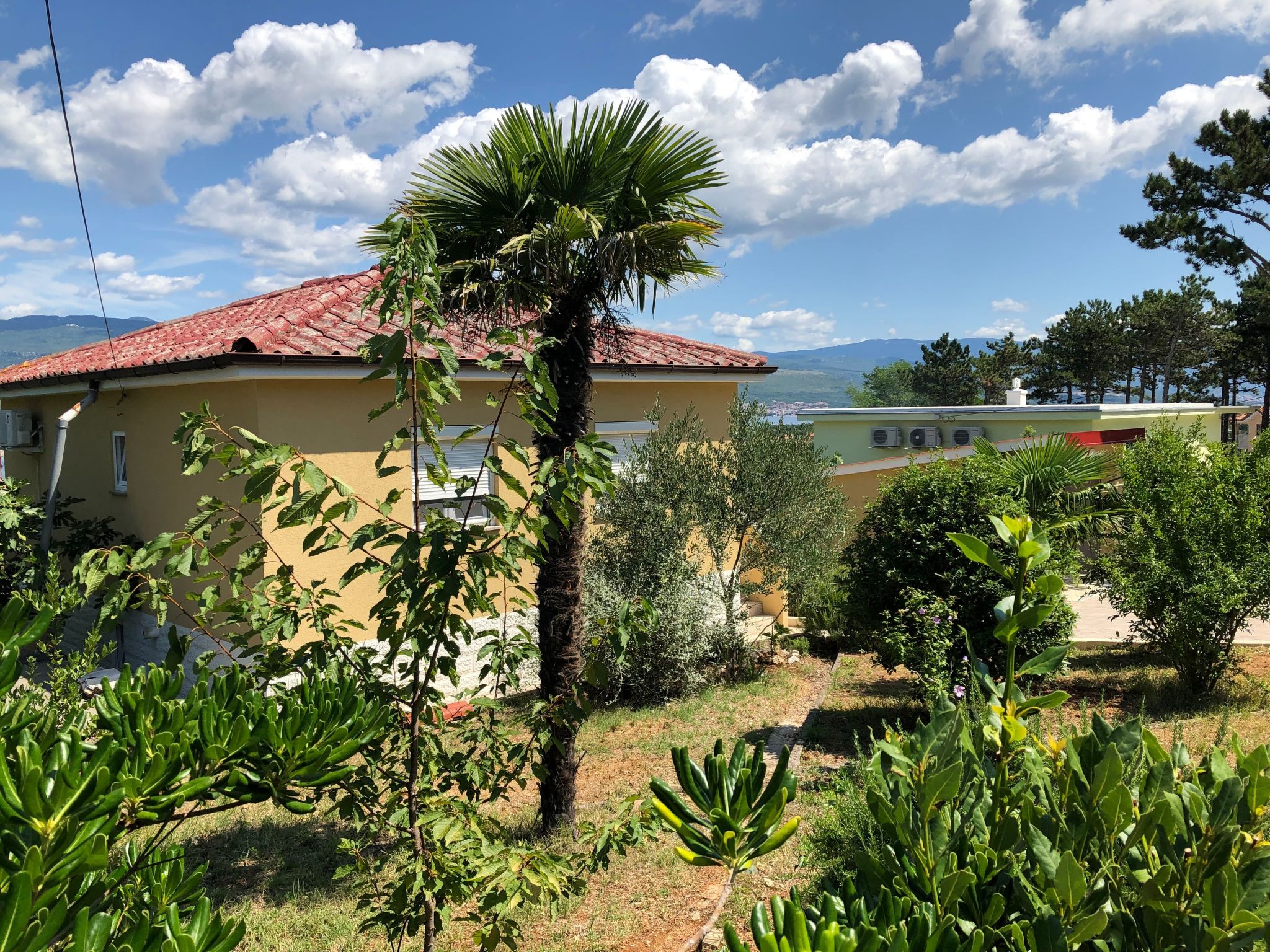 Photo of mit grünem Garten und Meerblick