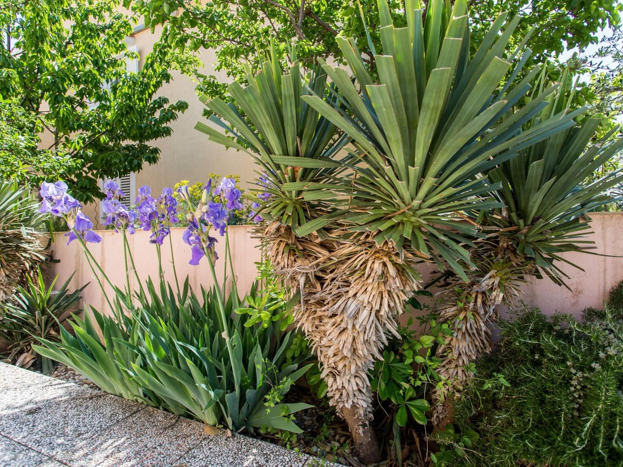 Photo of Wohnung Maria in der Nähe des Strandes