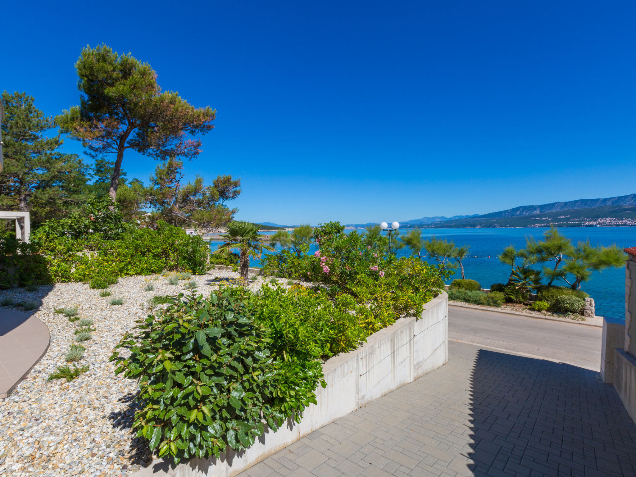 Photo of DAKOVIC DENI 1 / HR-07023-01