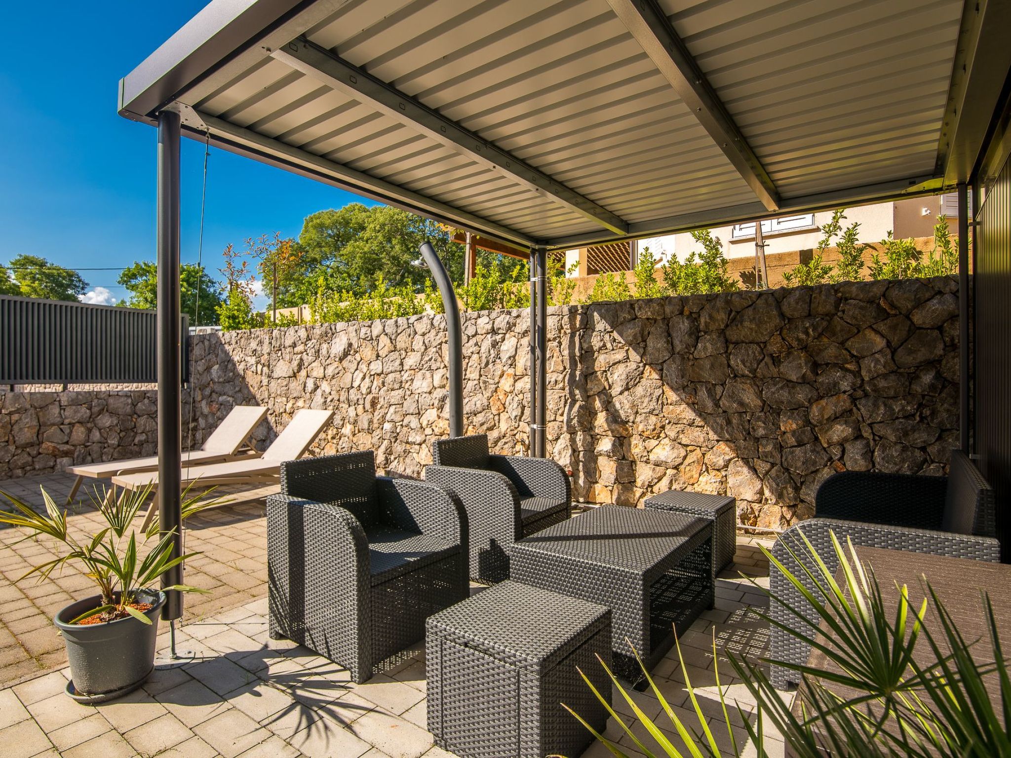 Nemo-Image-tags.info