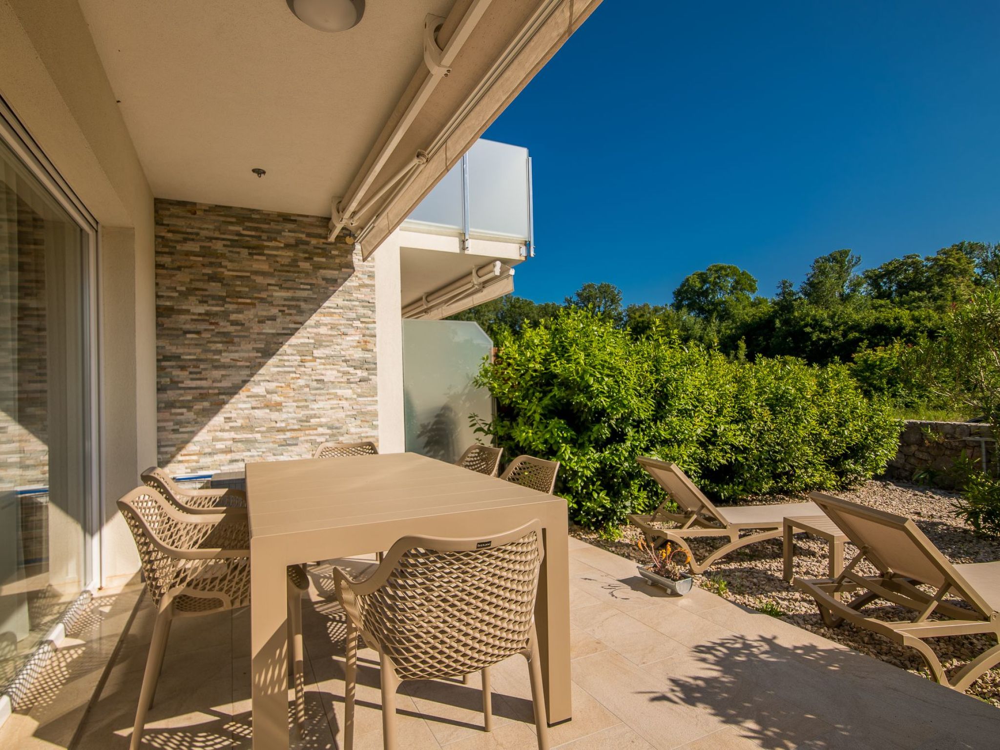 Nemo-Image-tags.info