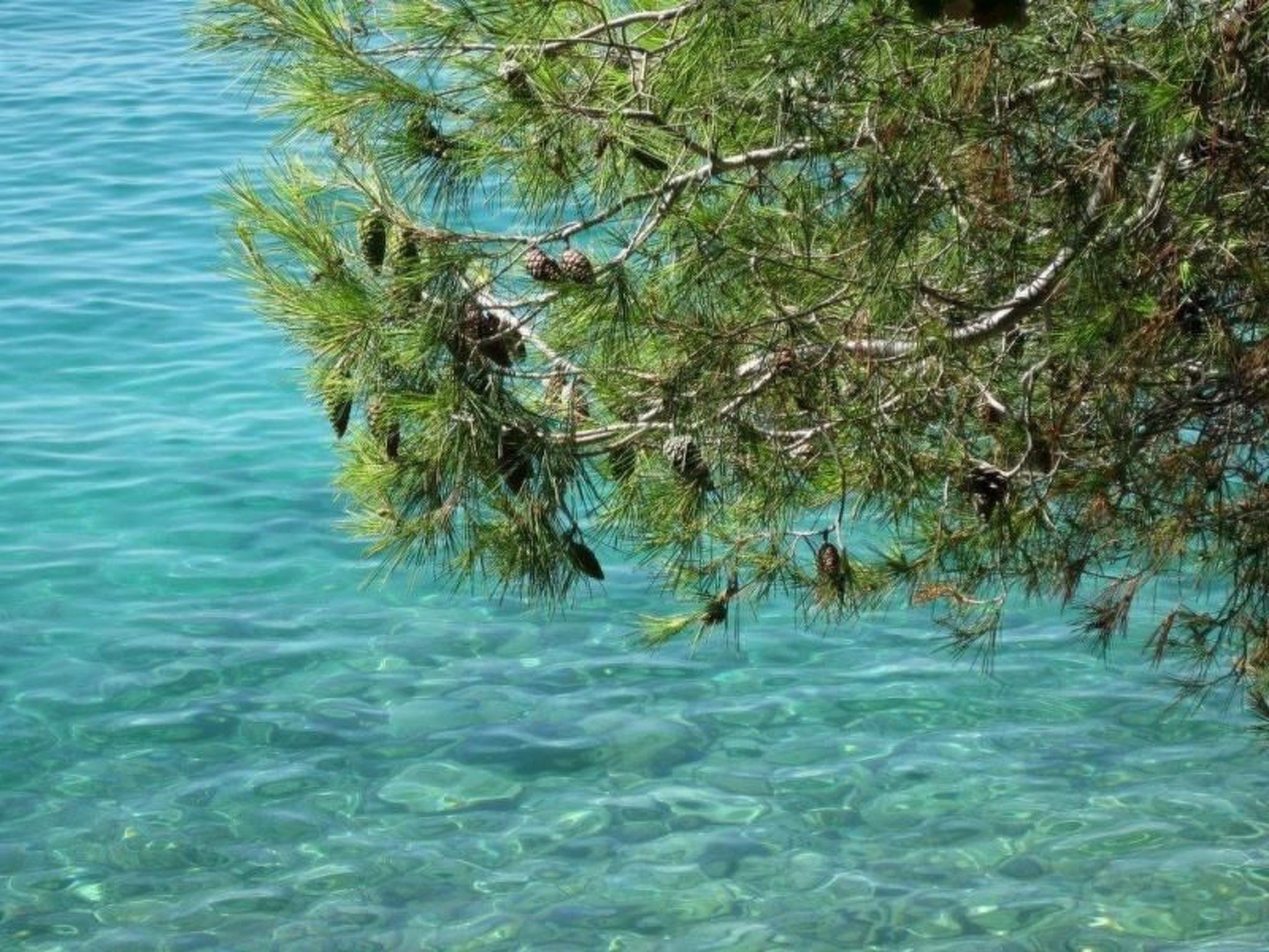 Wohnung in der Nähe des Meeres-Image-tags.info