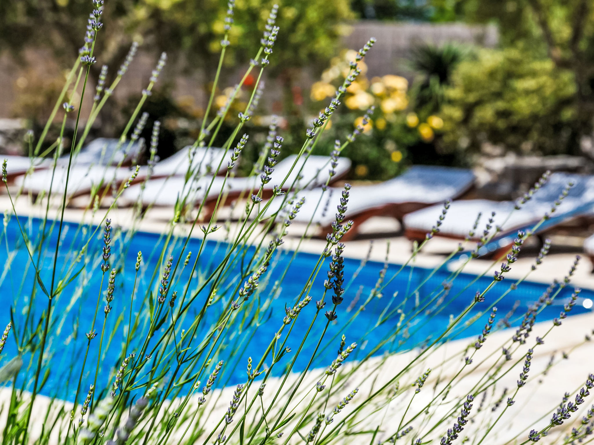 "VillaTonka auf der Insel Krk, Malinska" — Pool Outdoor (2 of 35)