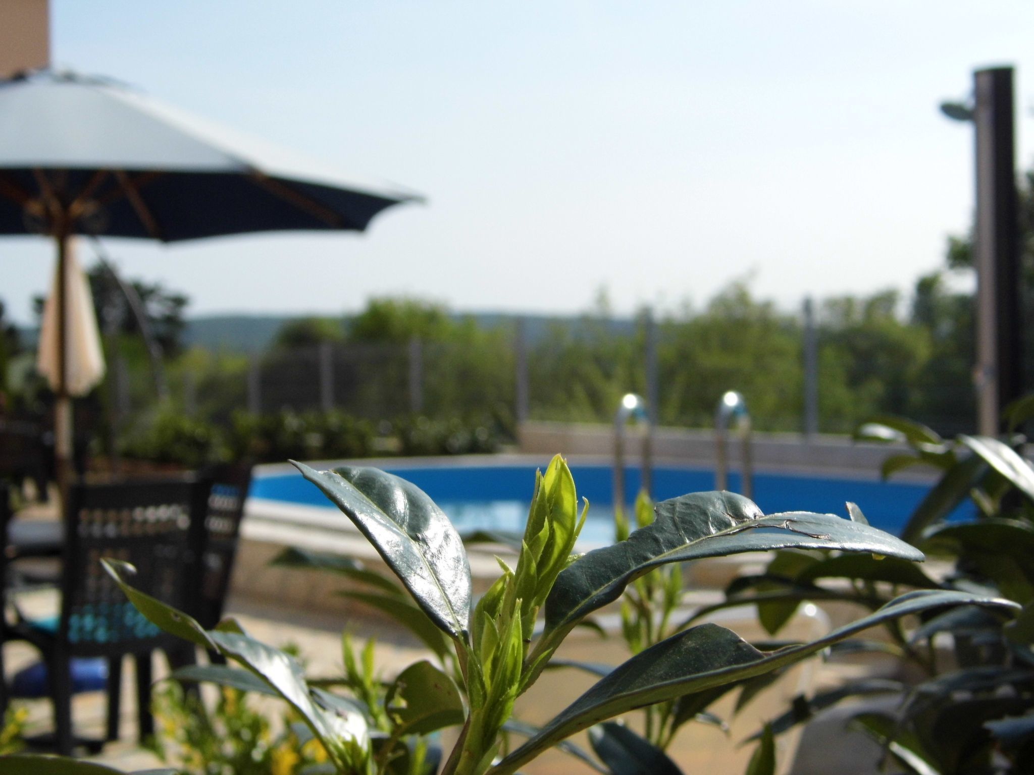 Wohnung mit Terrasse