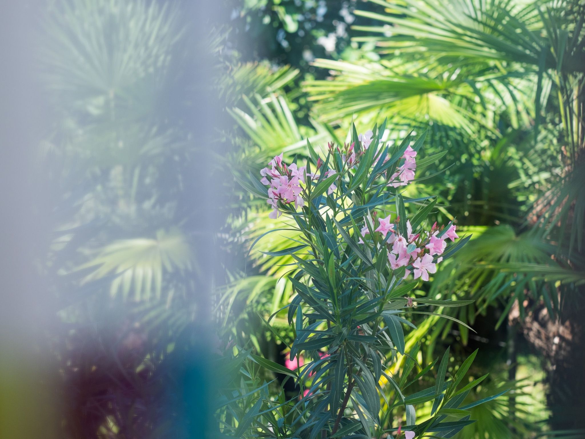 Apartment Nova Mira-Image-tags.info