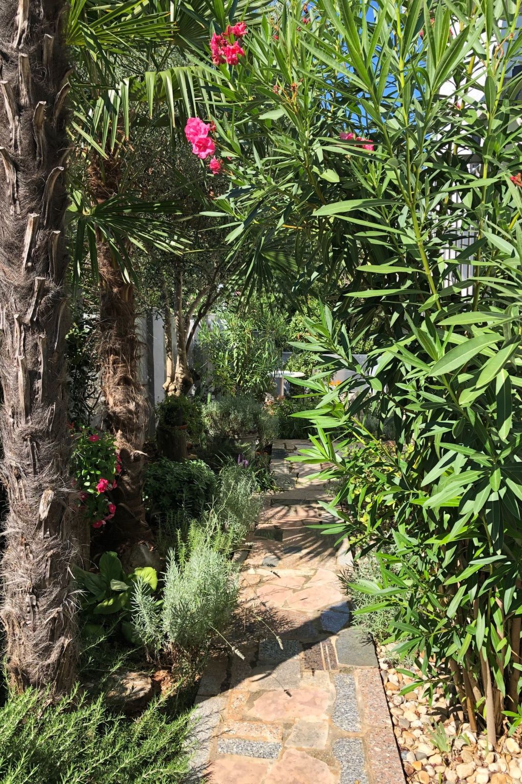 Apartment Nova Mira-Image-tags.info