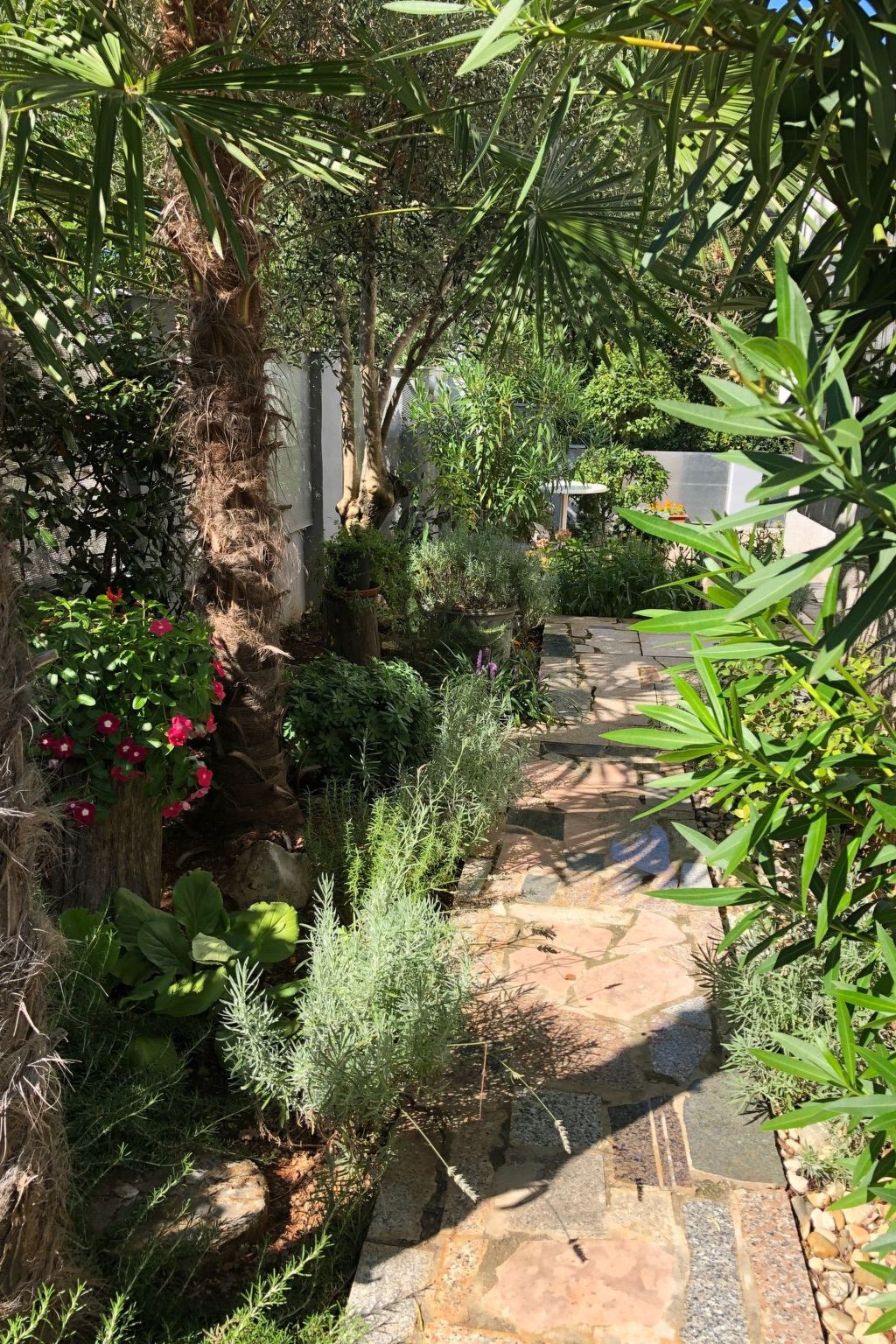 Apartment Nova Mira-Image-tags.info