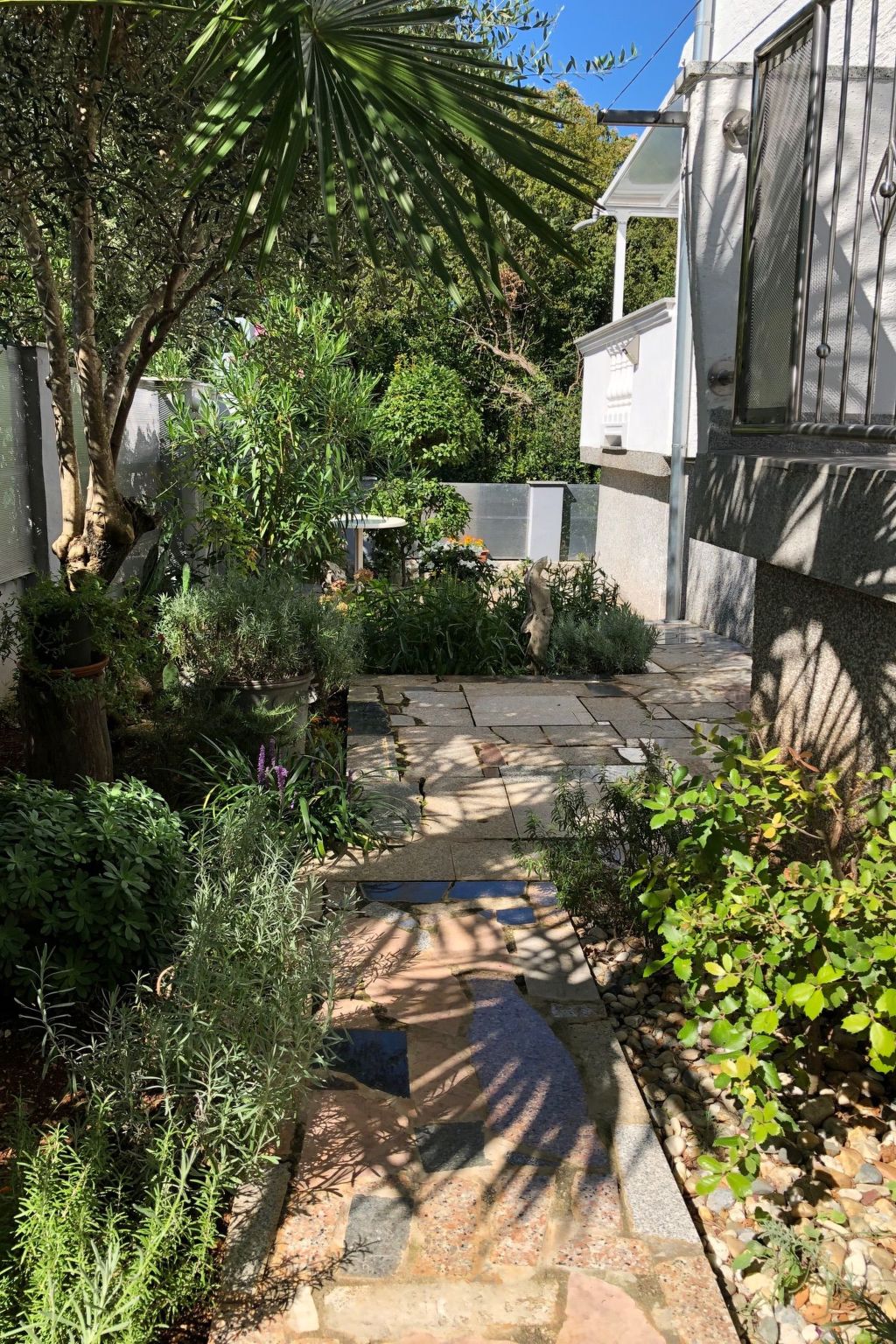 Apartment Nova Mira-Image-tags.info