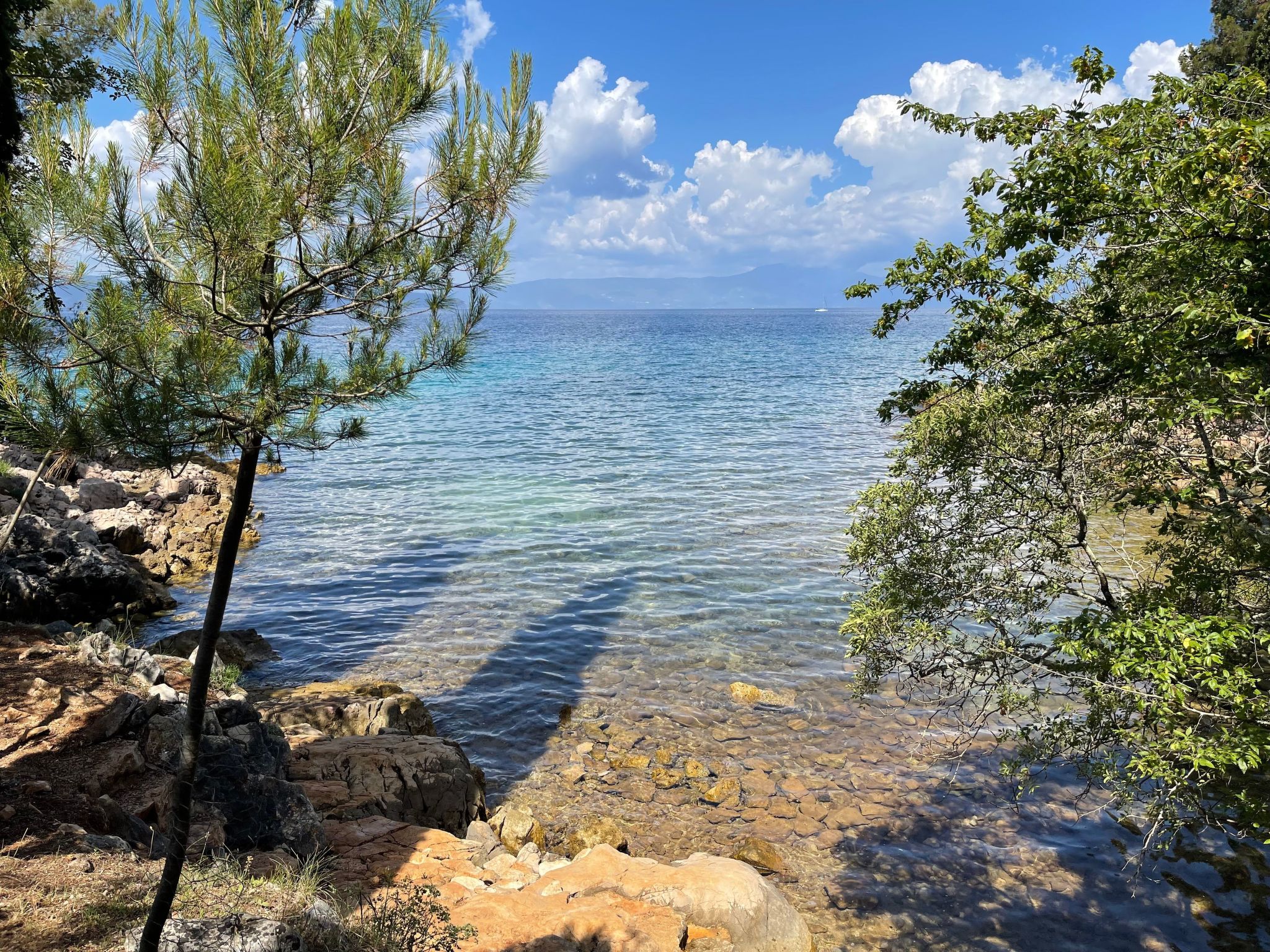 Apartment Nova Mira-Image-tags.info