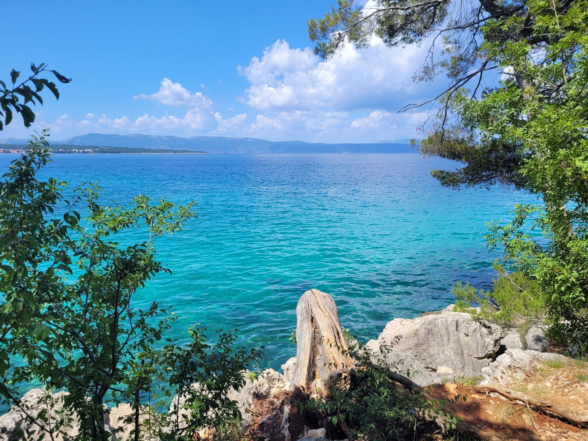 Apartment Nova Mira-Image-tags.info