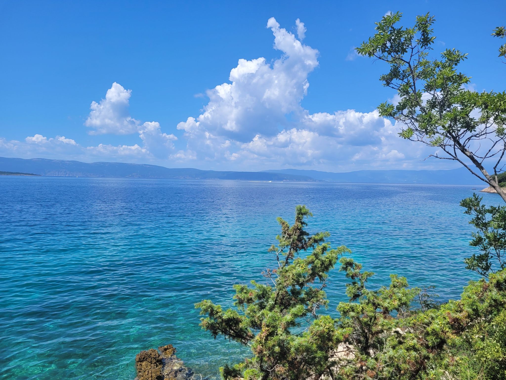 Apartment Nova Mira-Image-tags.info