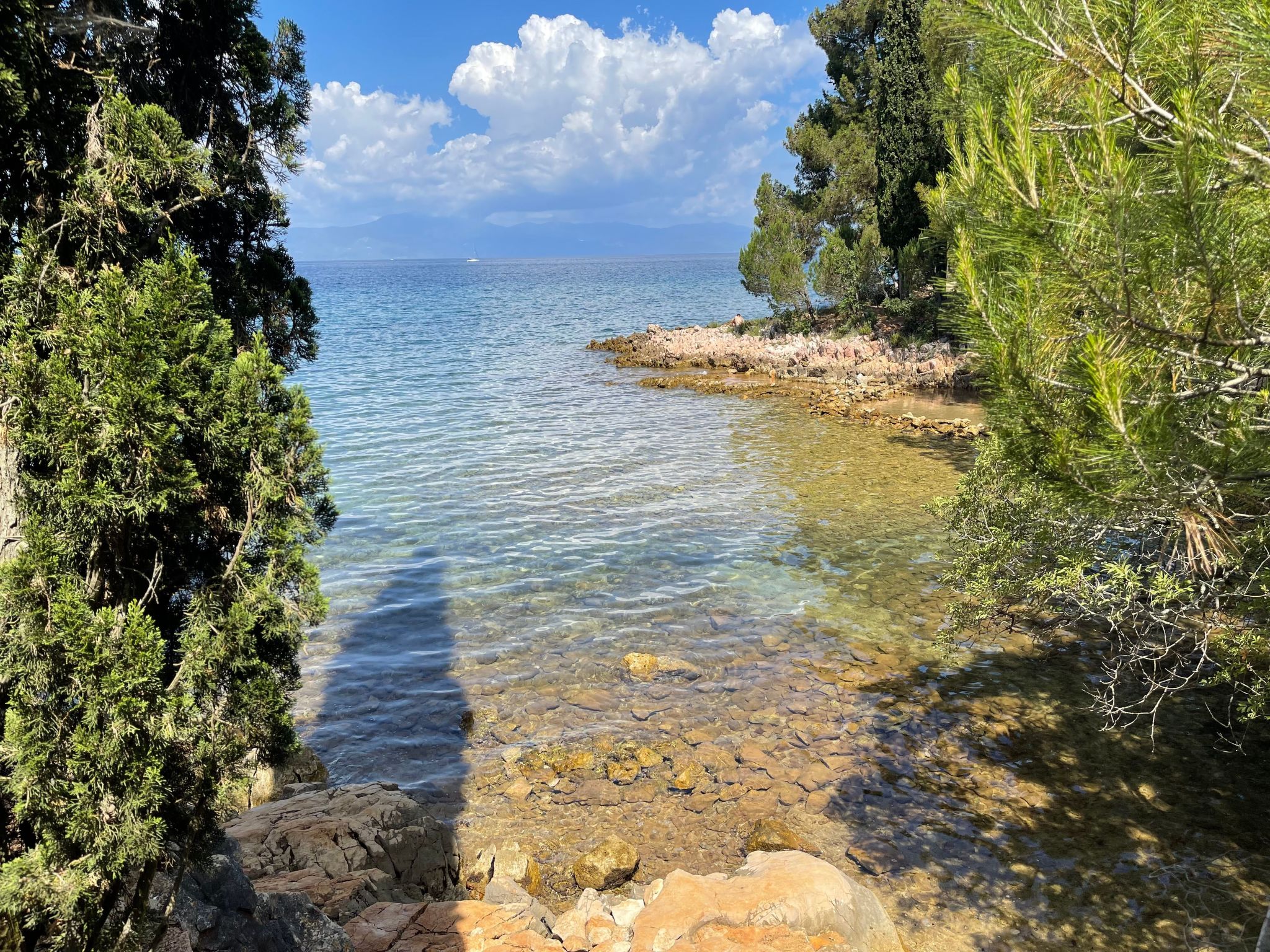 Apartment Nova Mira-Image-tags.info