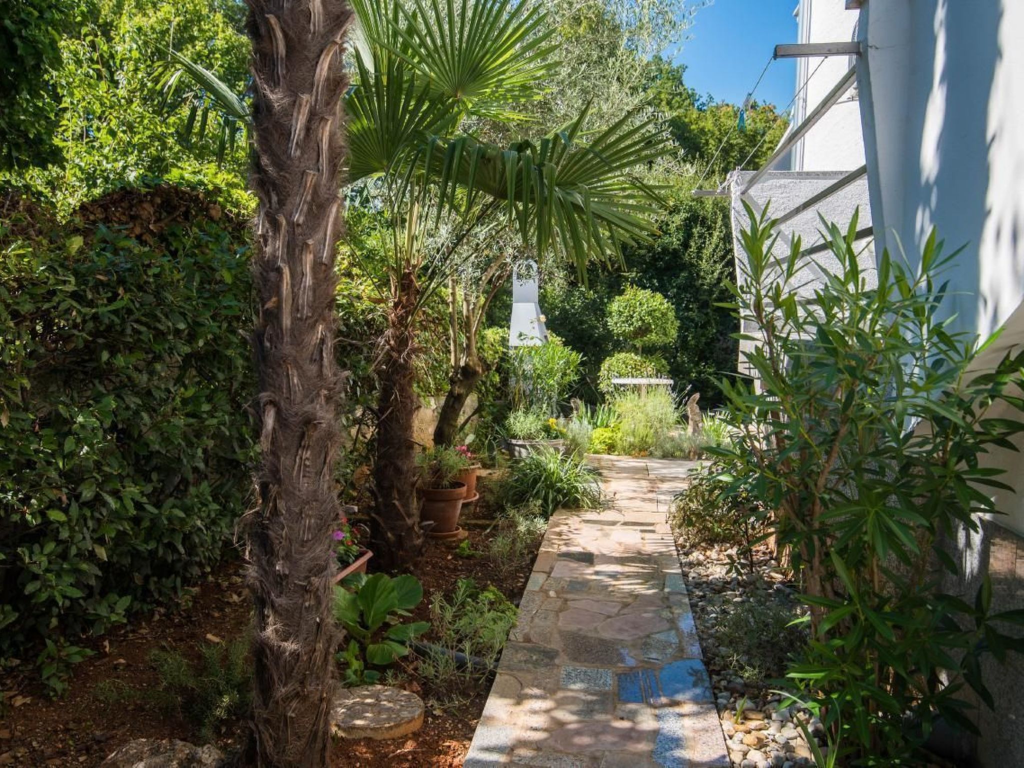 Apartment Nova Mira-Image-tags.info