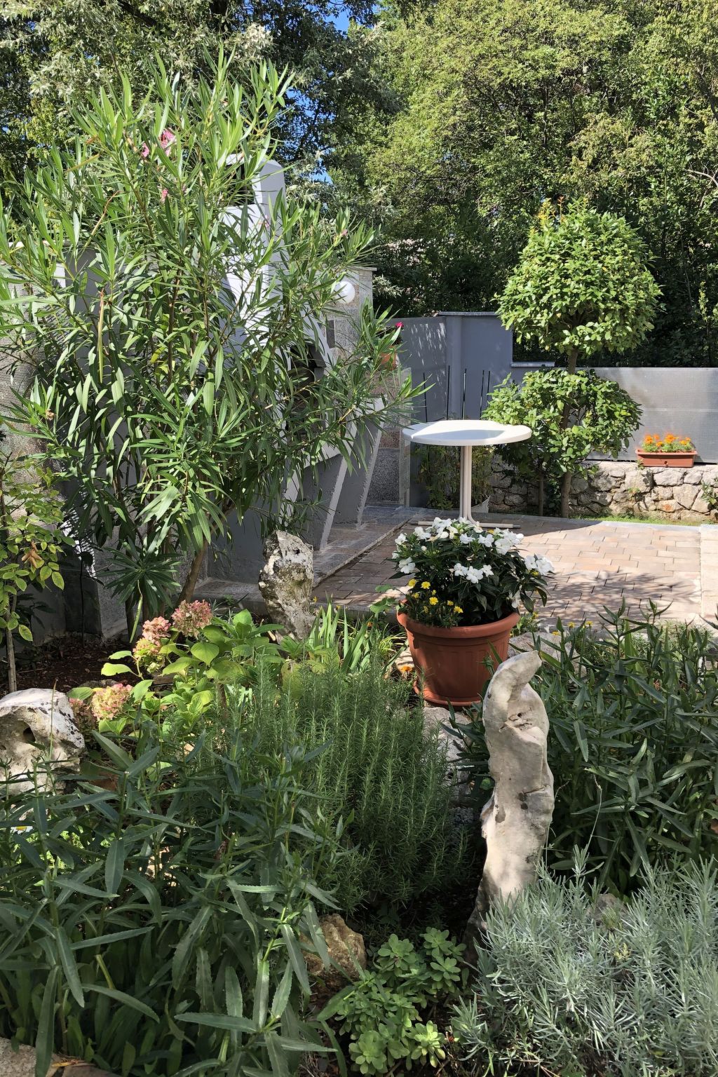 Apartment Nova Mira-Image-tags.info