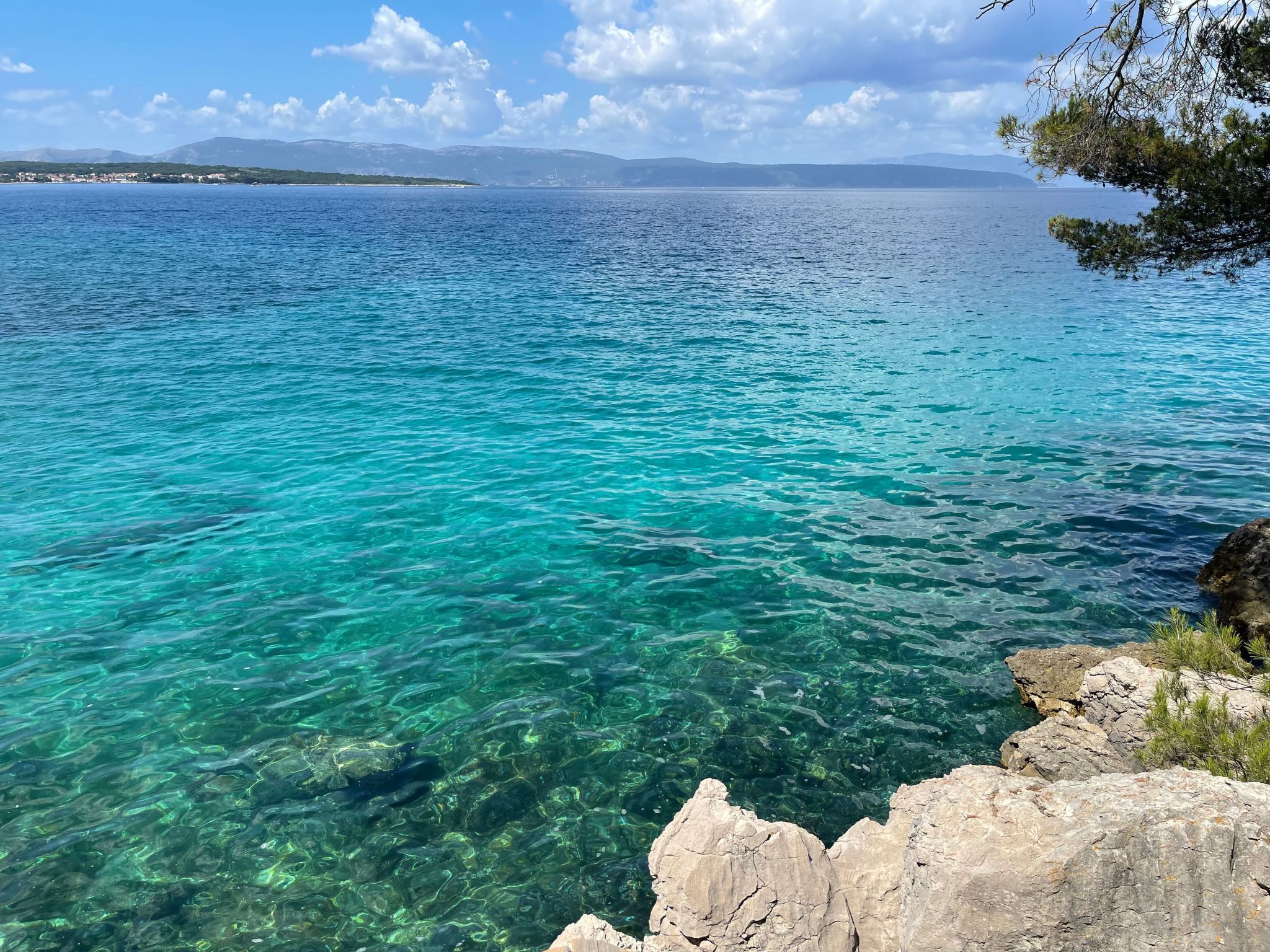 Apartment Nova Mira-Image-tags.info