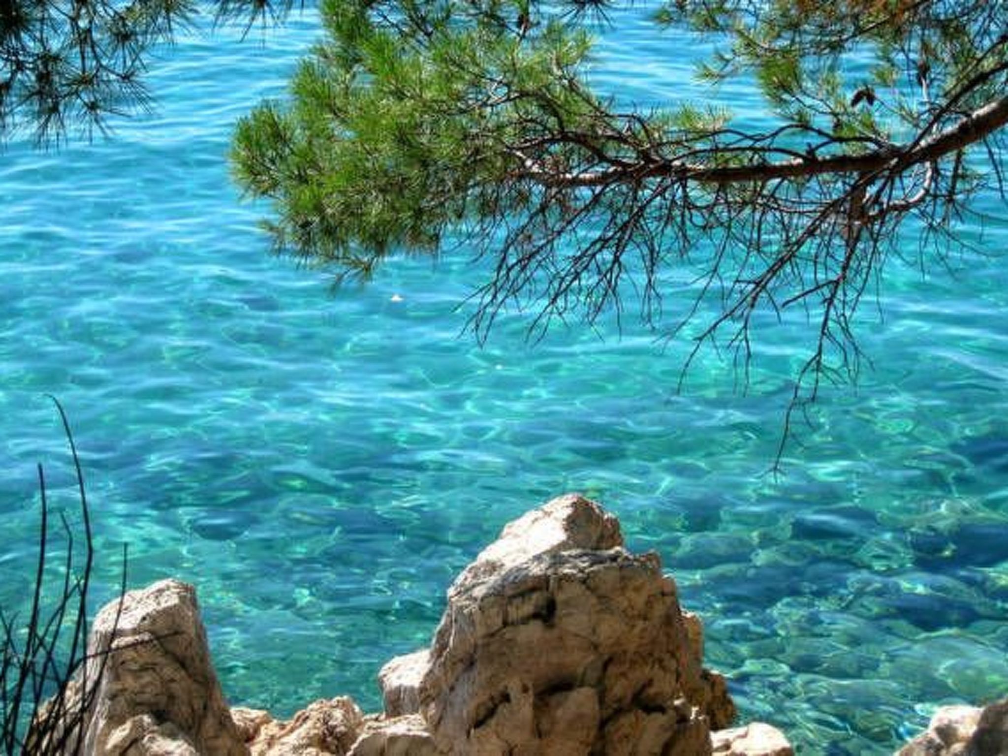 Wohnung "Petar 2" direkt am Strand-Image-tags.info