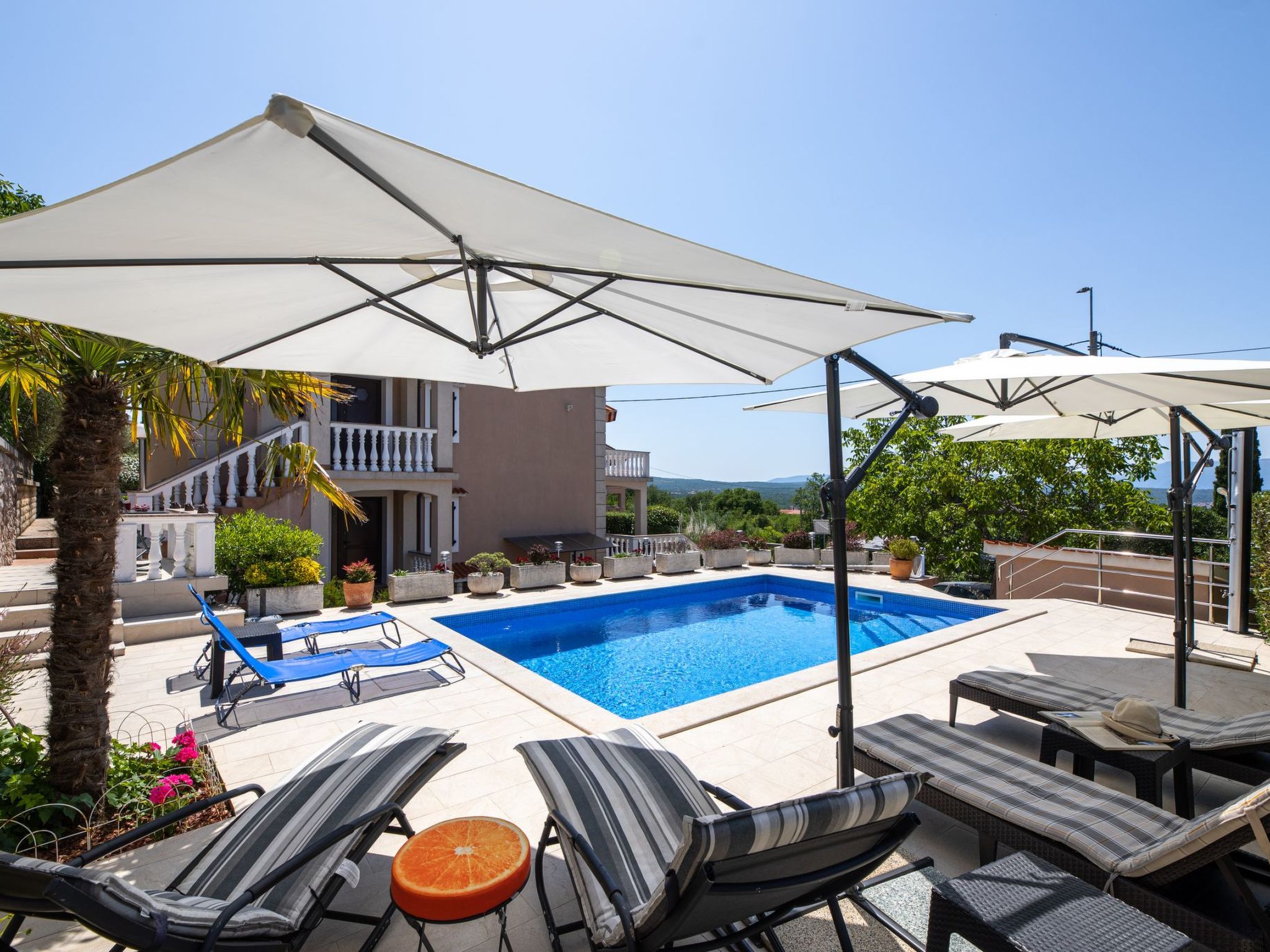 Apartment Krebelj - Image-tags.info