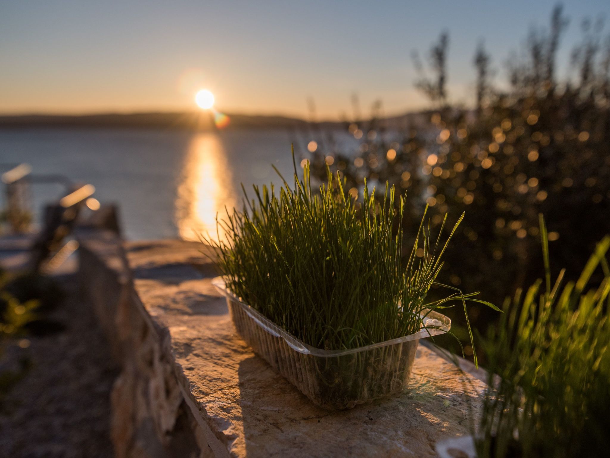 "Natura" direkt am Strand-Image-tags.info
