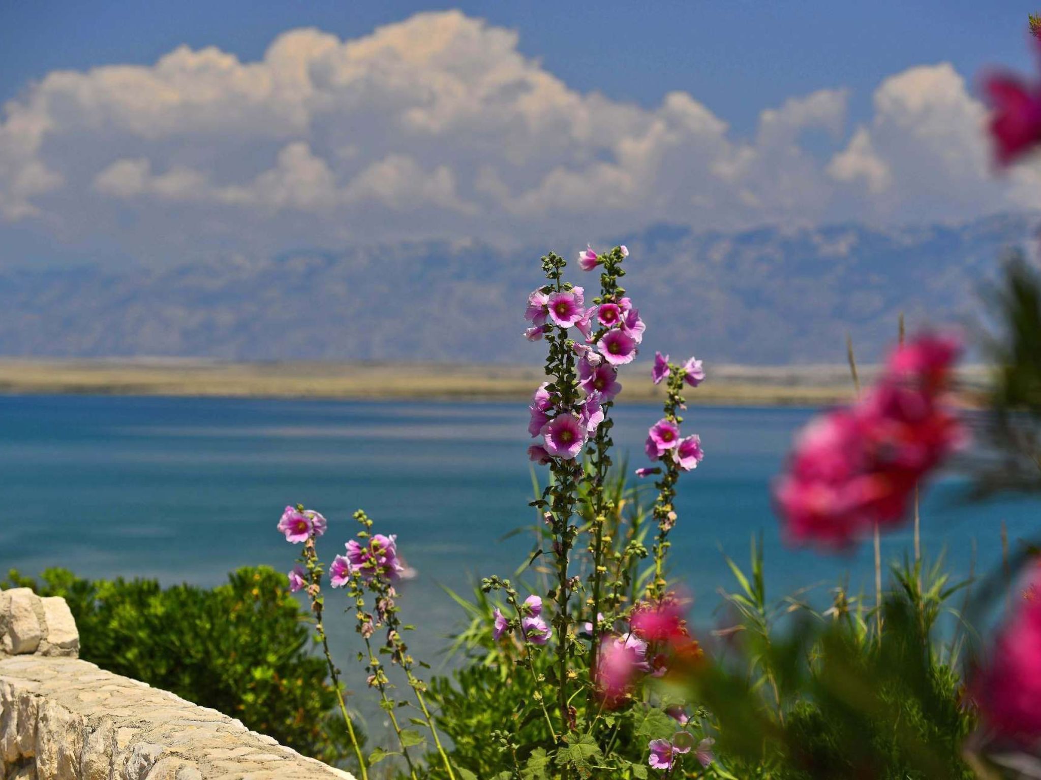 Haus in Pinezići mit privatem Pool-Image-tags.info