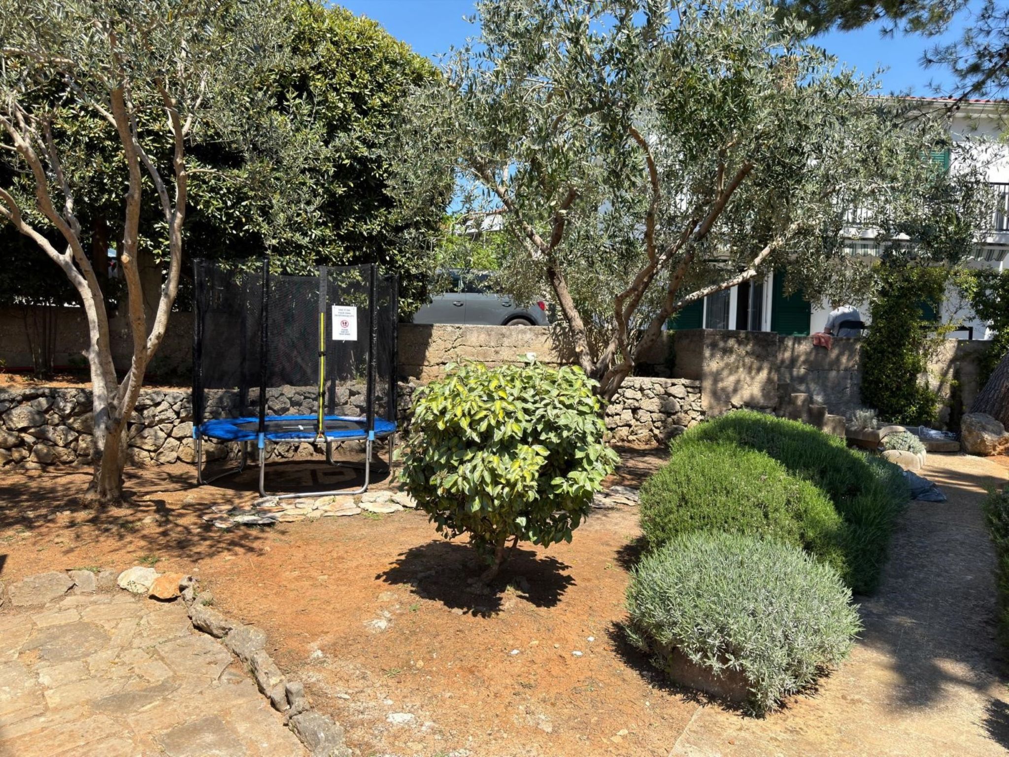 Photo of Verde