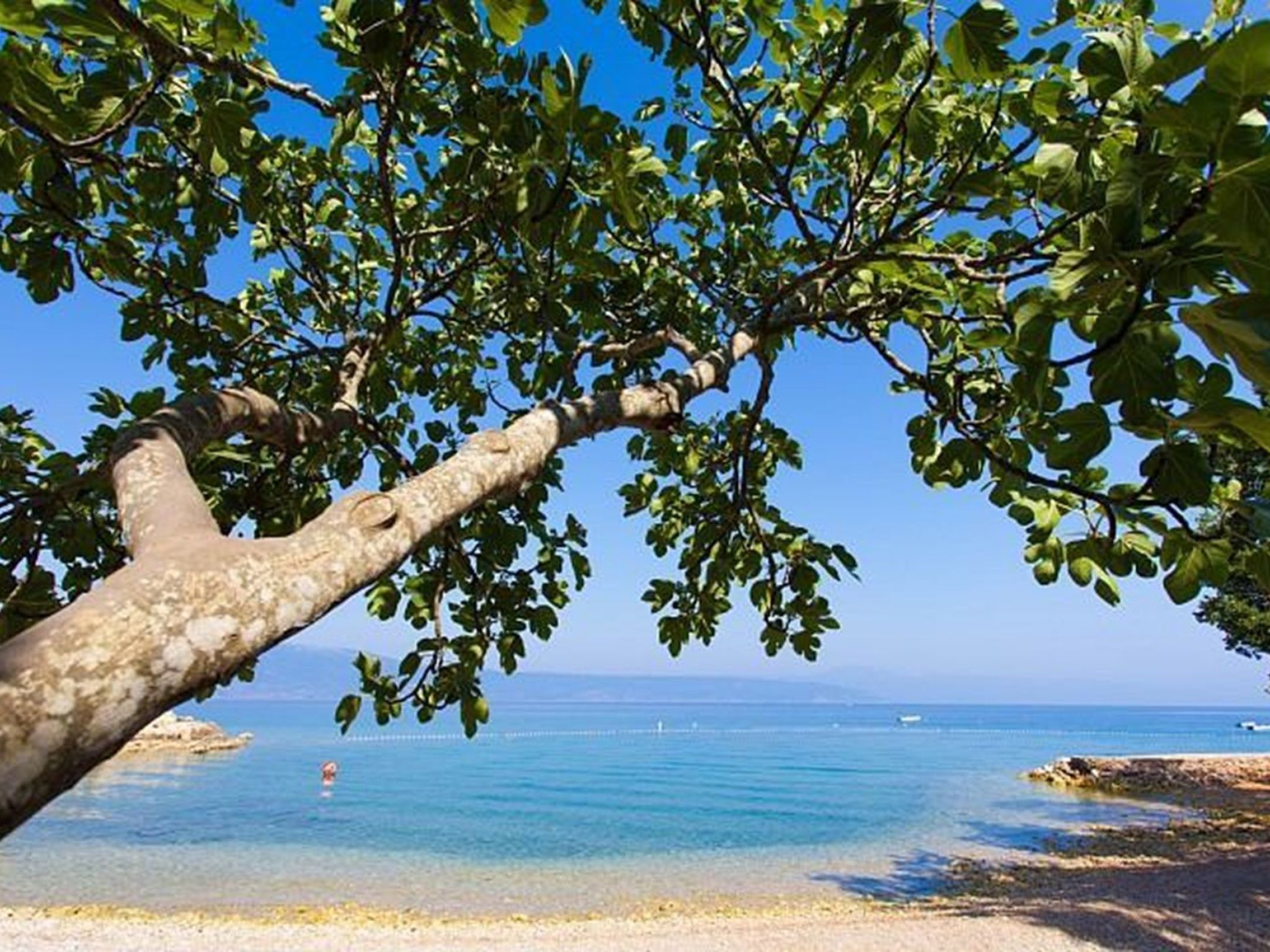 Villa "Oleandar" mit Schwimmbad und Meerblick-Image-tags.info