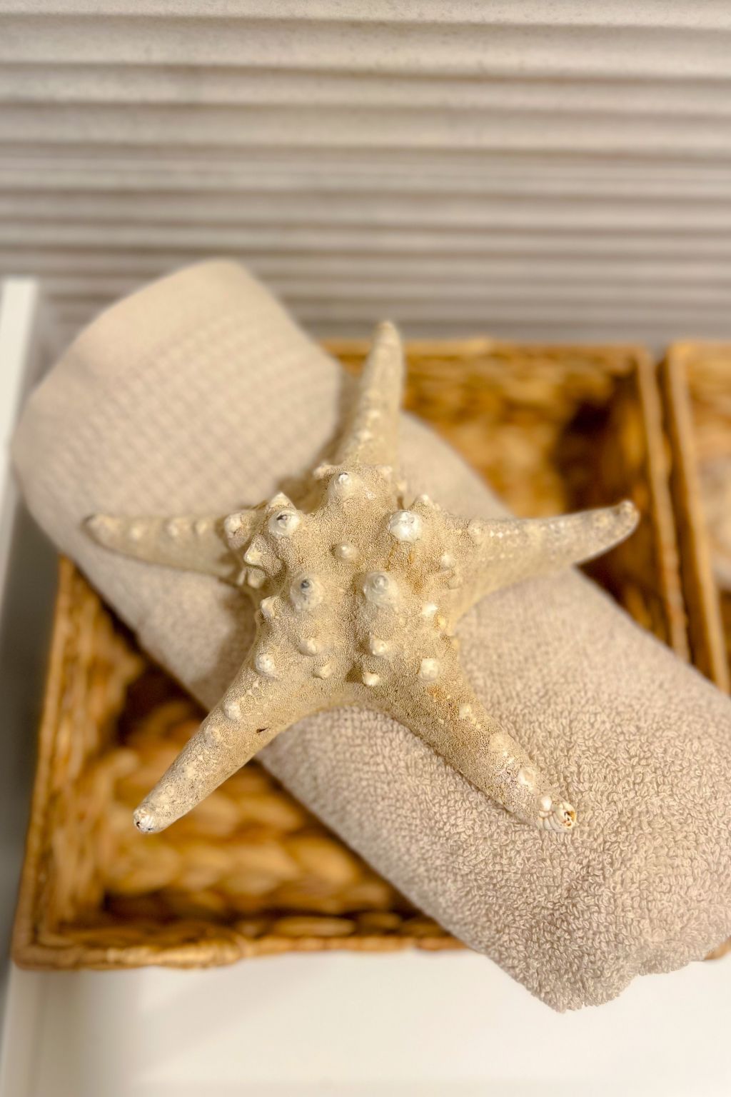 LuxArt City SPA-Binnen