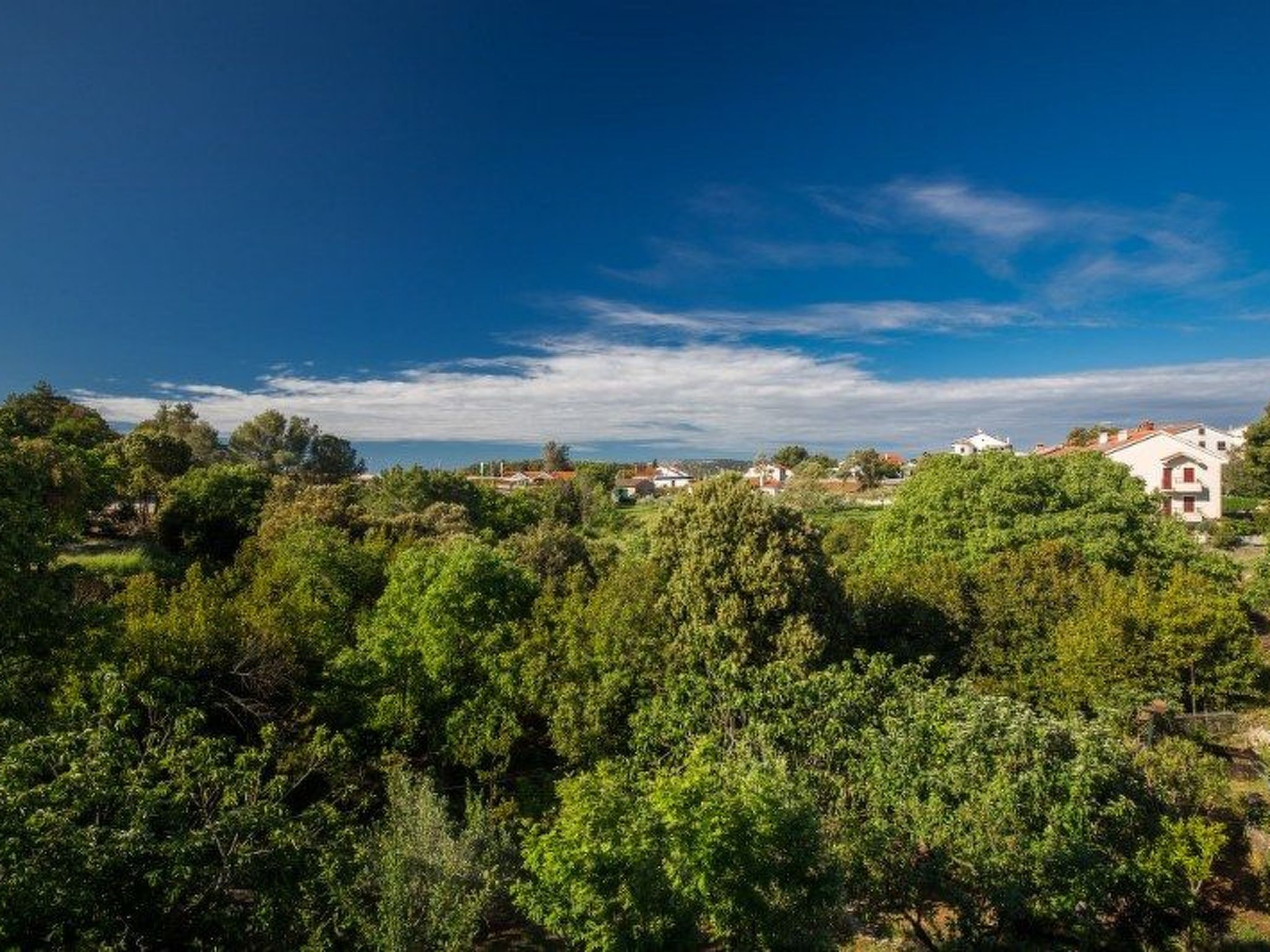 Apartment mit einem kleinen Wohn- und Essbereich und Schlafzimmer-Image-tags.info