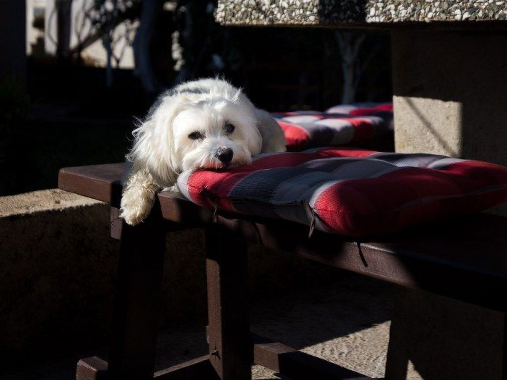 Photo of Kleines Studio Slaven in Krk