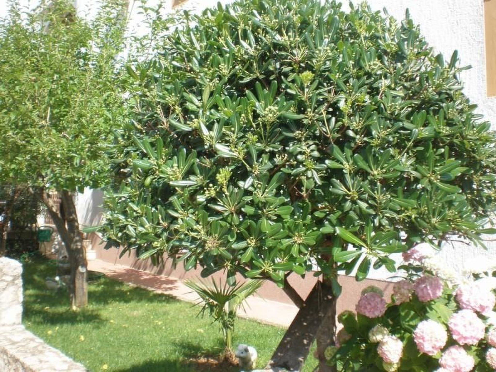 Photo of Kleines Studio Slaven in Krk