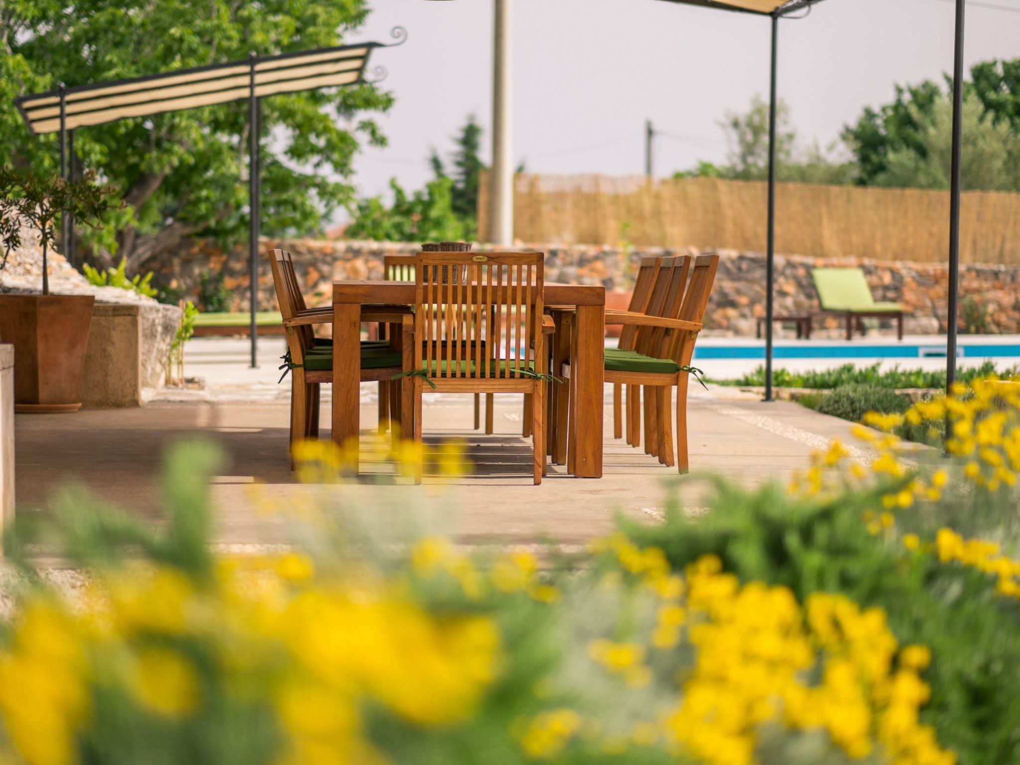 Villa mit Pool, Olivengarten und Meerblick-Image-tags.info