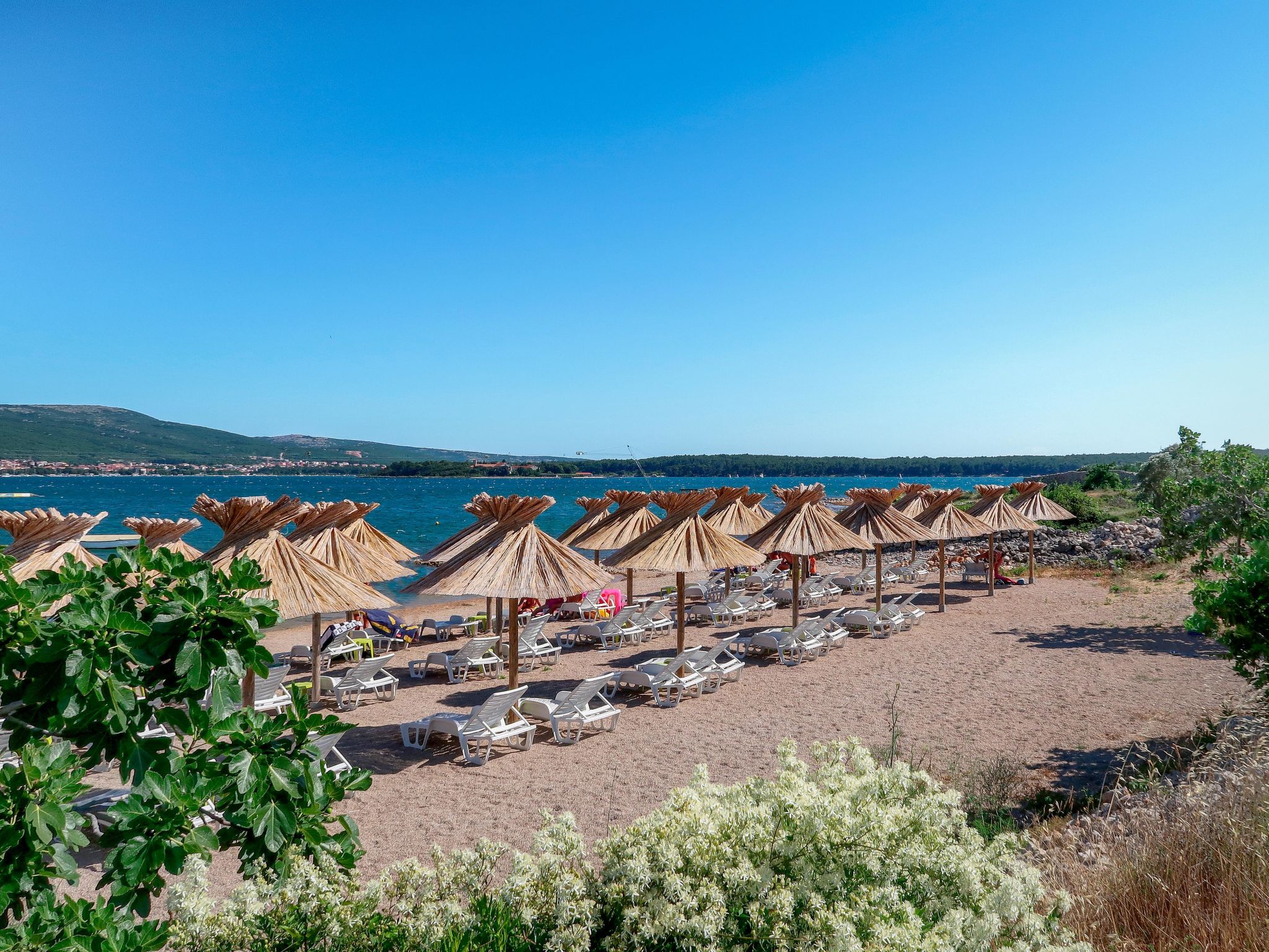 Villa "Olive Tree" mit Schwimmbad-Omgeving