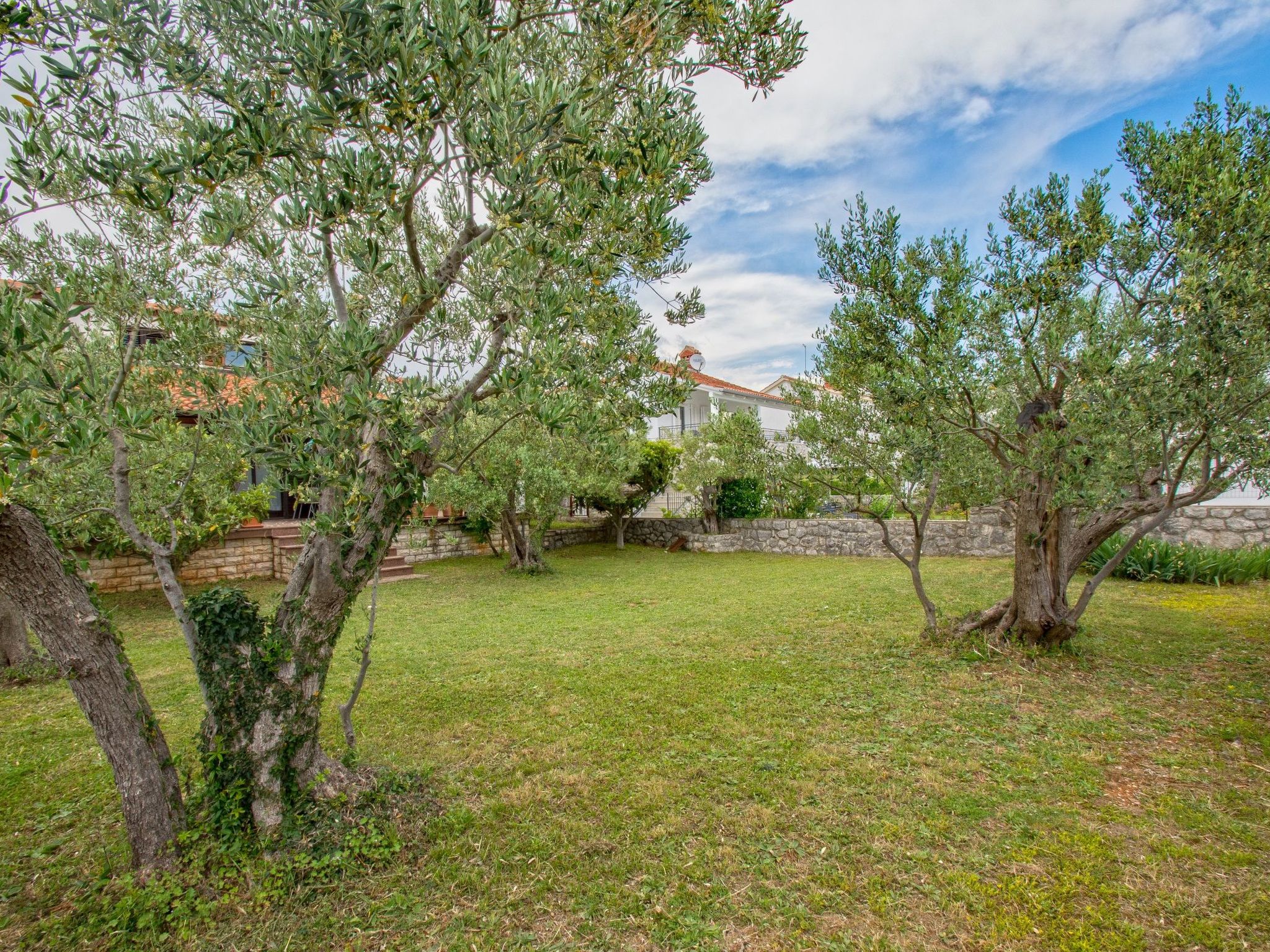 Villa "Olive Tree" mit Schwimmbad-Image-tags.info