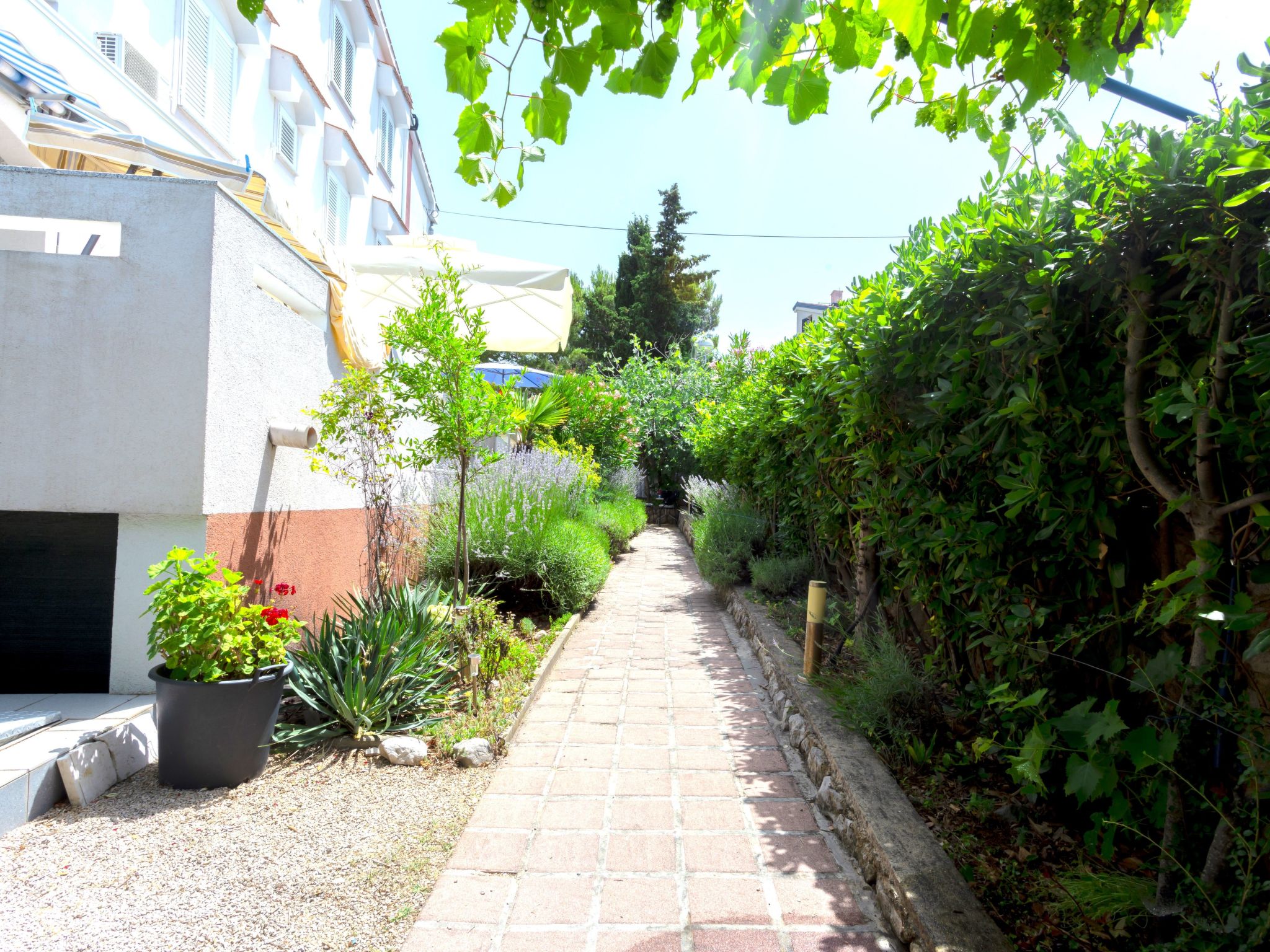 Studio "Buka Calm IV"-Binnen