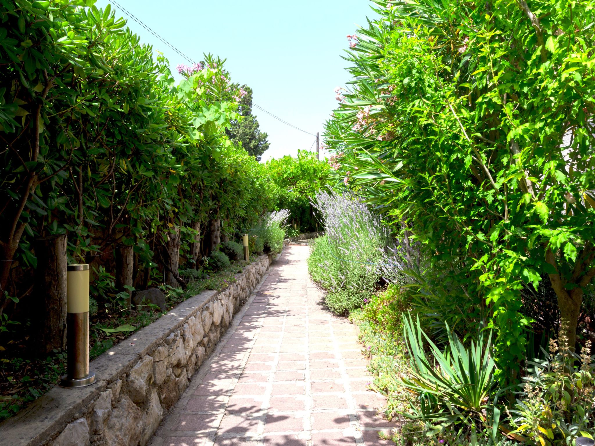 Studio "Buka Calm IV"-Binnen