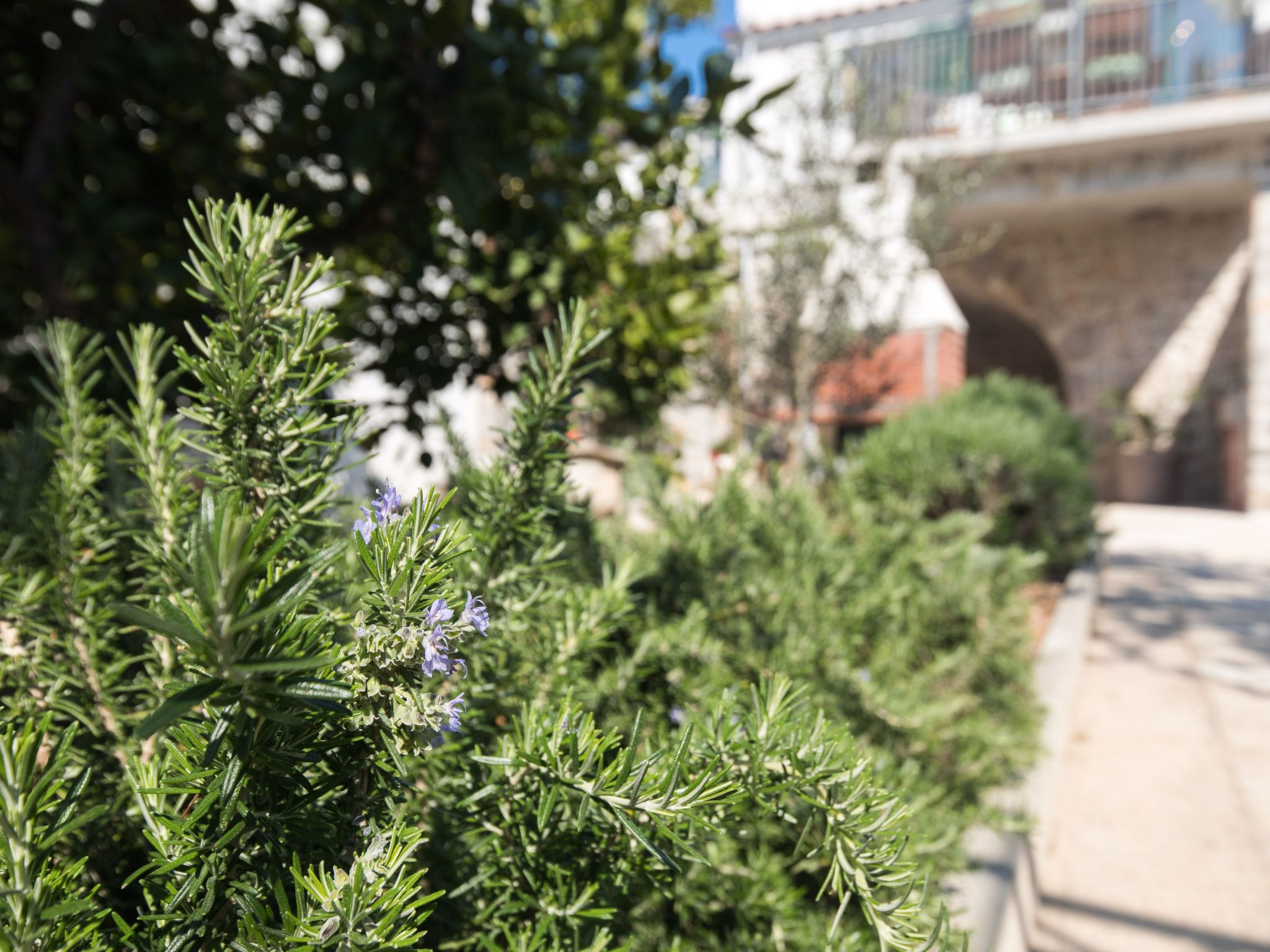 Photo of mit Garten, Grill und Terrasse