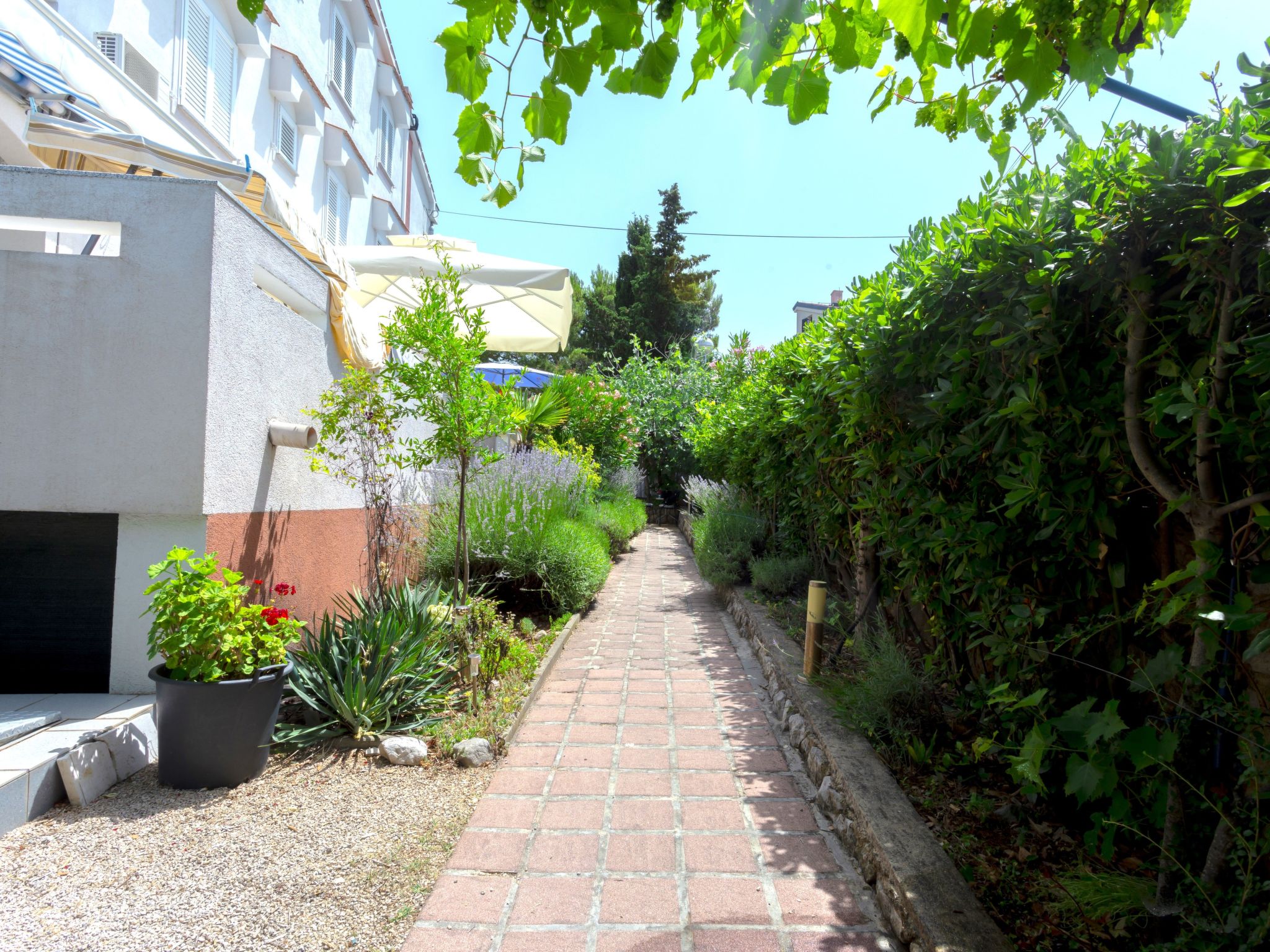 "Buka Calm II"-Binnen