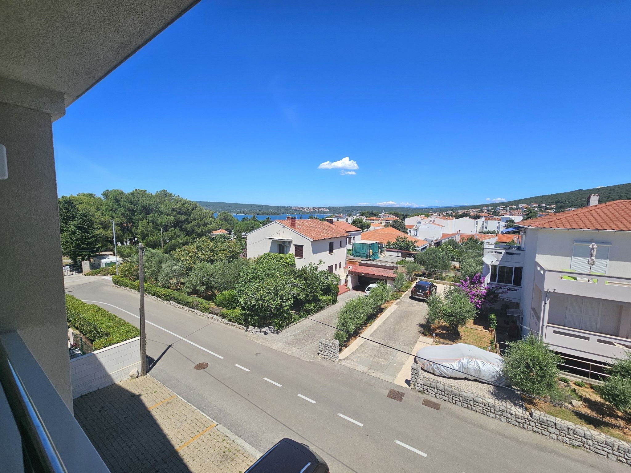 Tara-Image-tags.info