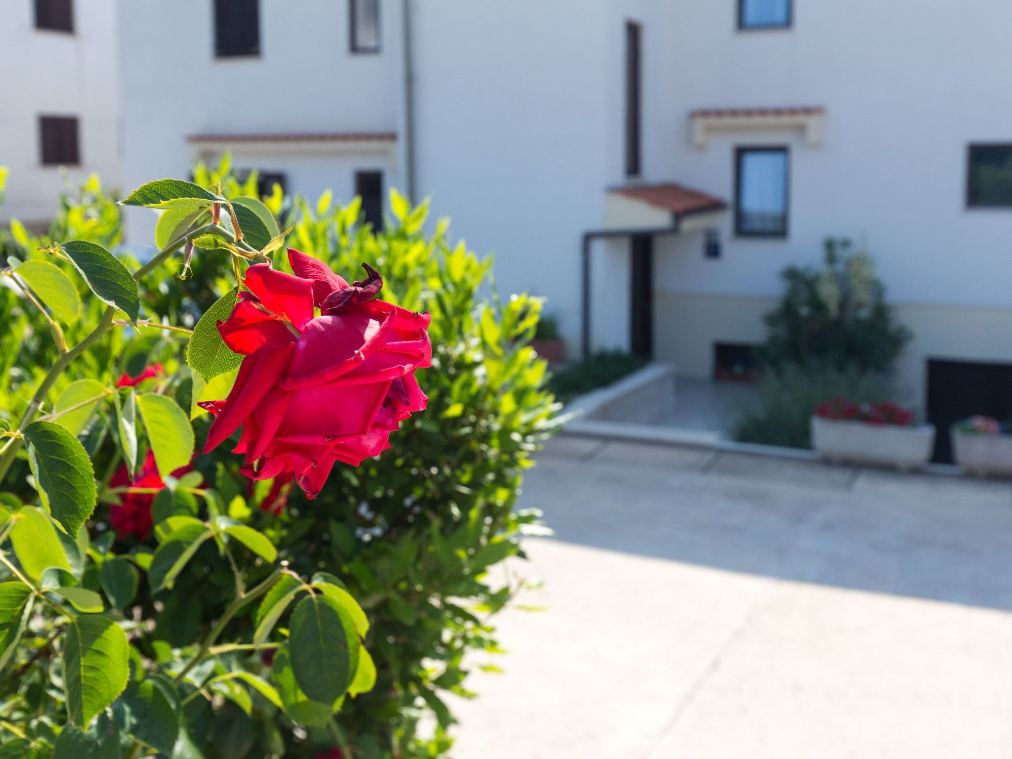 Photo of Apartmenthaus „Sean“ mit Parkplatz, Olivenhain