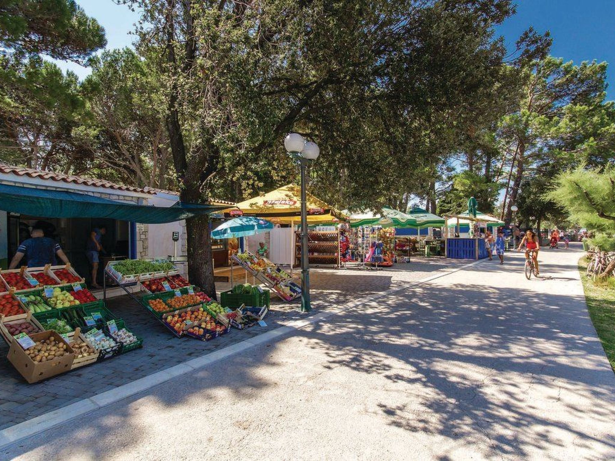 Haus mit Pool, 50 Meter vom Meer entfernt-Image-tags.info