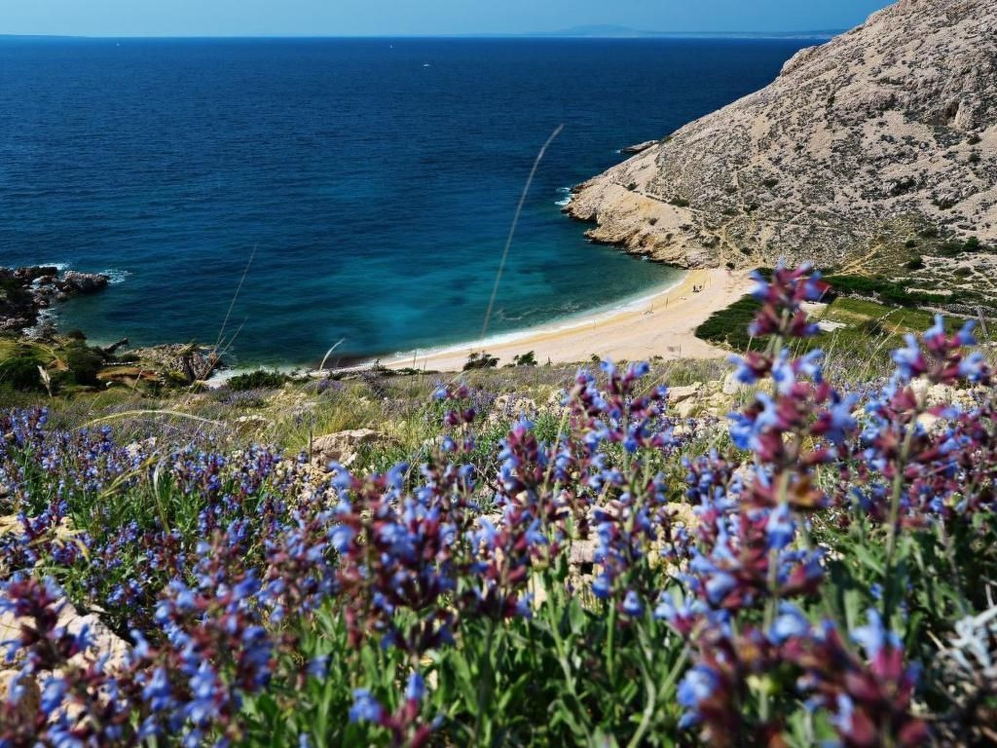 Ferienvilla Mar - Insel Krk - Direkt am Strand-Image-tags.info