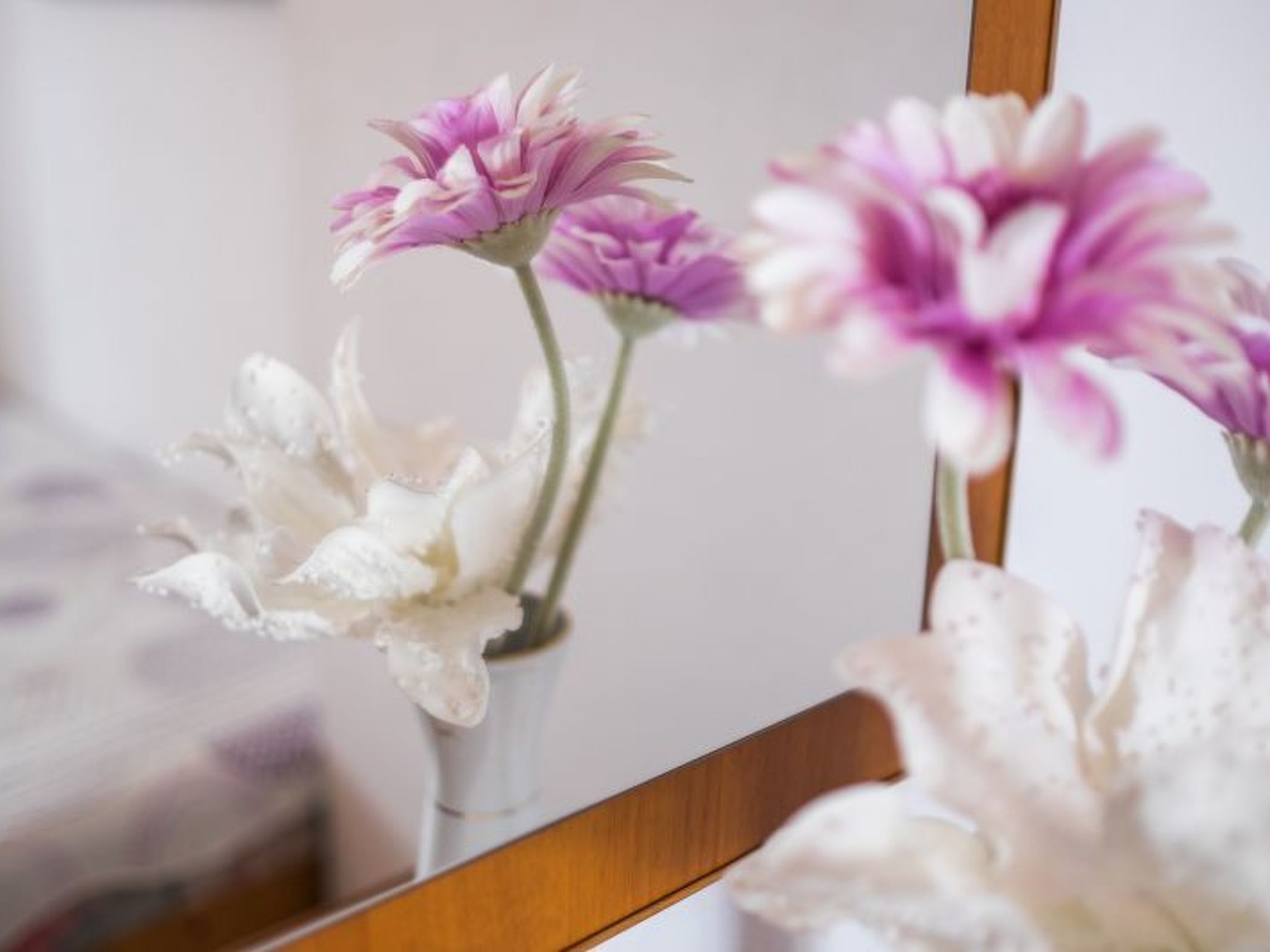 Apartman Višnja  - ID 2106-Image-tags.info