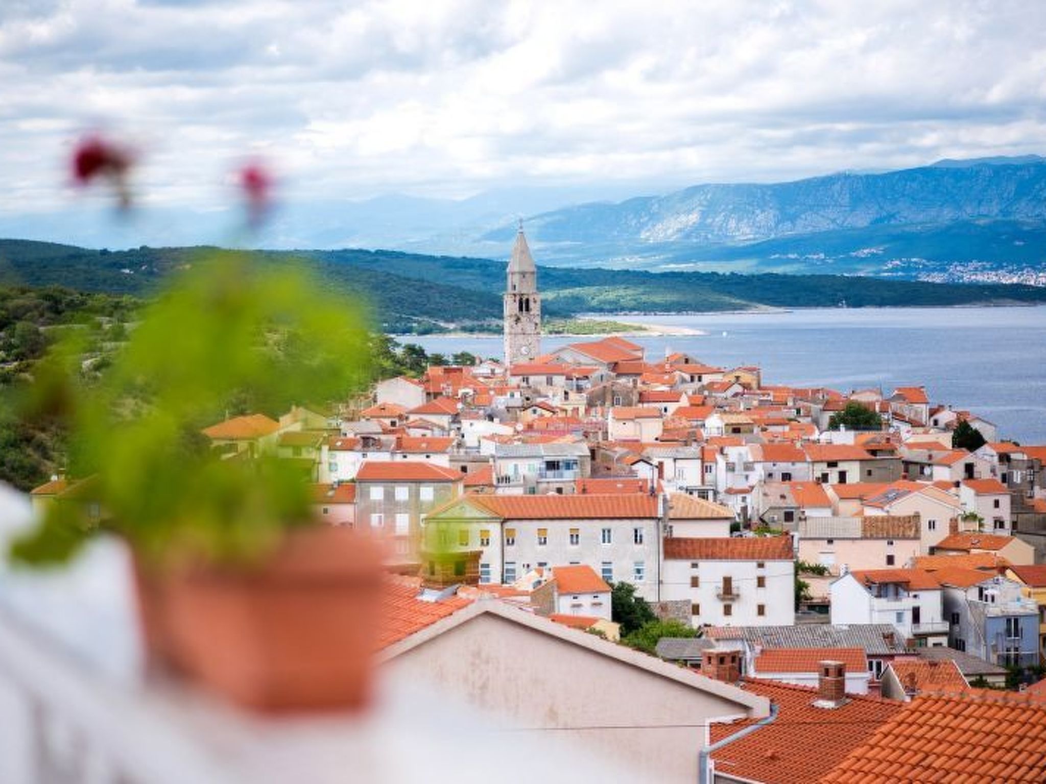 Apartman Višnja  - ID 2106-Image-tags.info