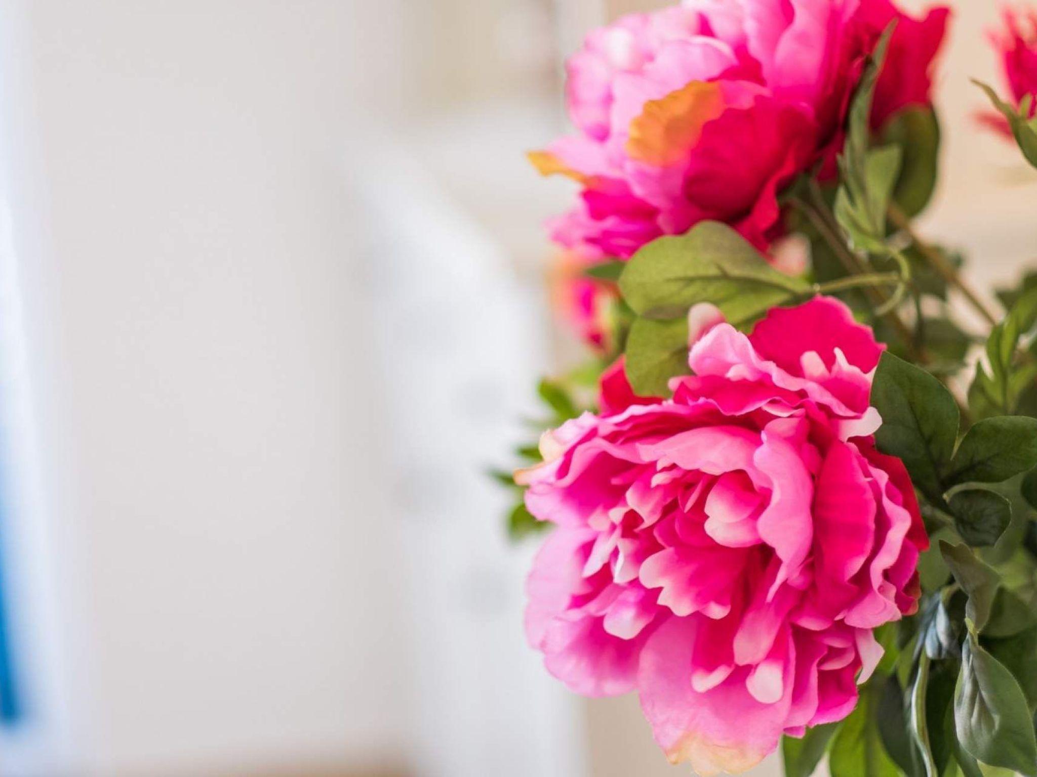 "Mela" mit Blick auf das Wasser-Image-tags.info