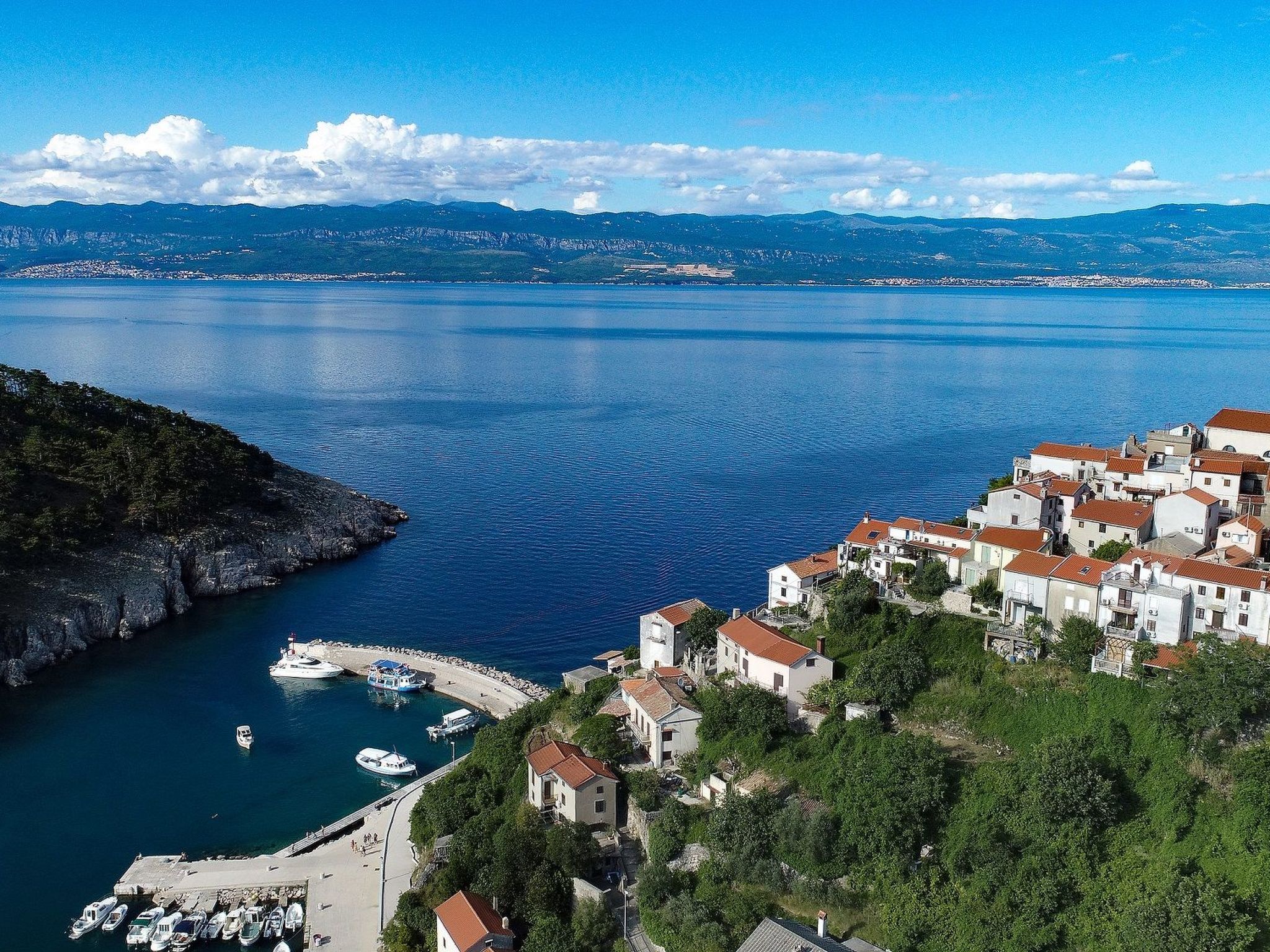 "Mela" mit Blick auf das Wasser-Image-tags.info